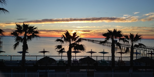 A vibrant beach sunset with calm waters and silhouetted palm trees.