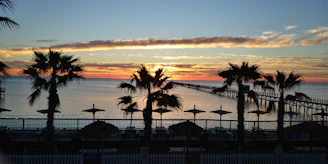 A vibrant sunset over Playa del Carmen beach with colorful umbrellas and palm trees swaying gently.