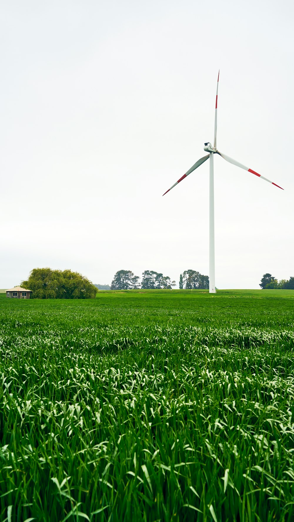 a wind turbine in the middle of a green field