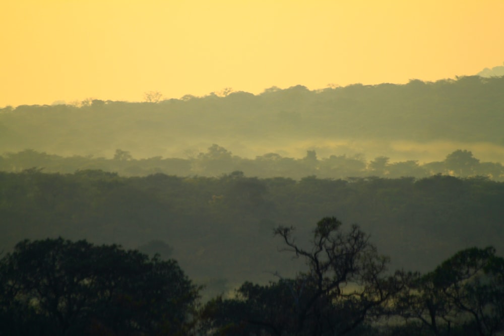 a hazy view of trees and hills in the distance