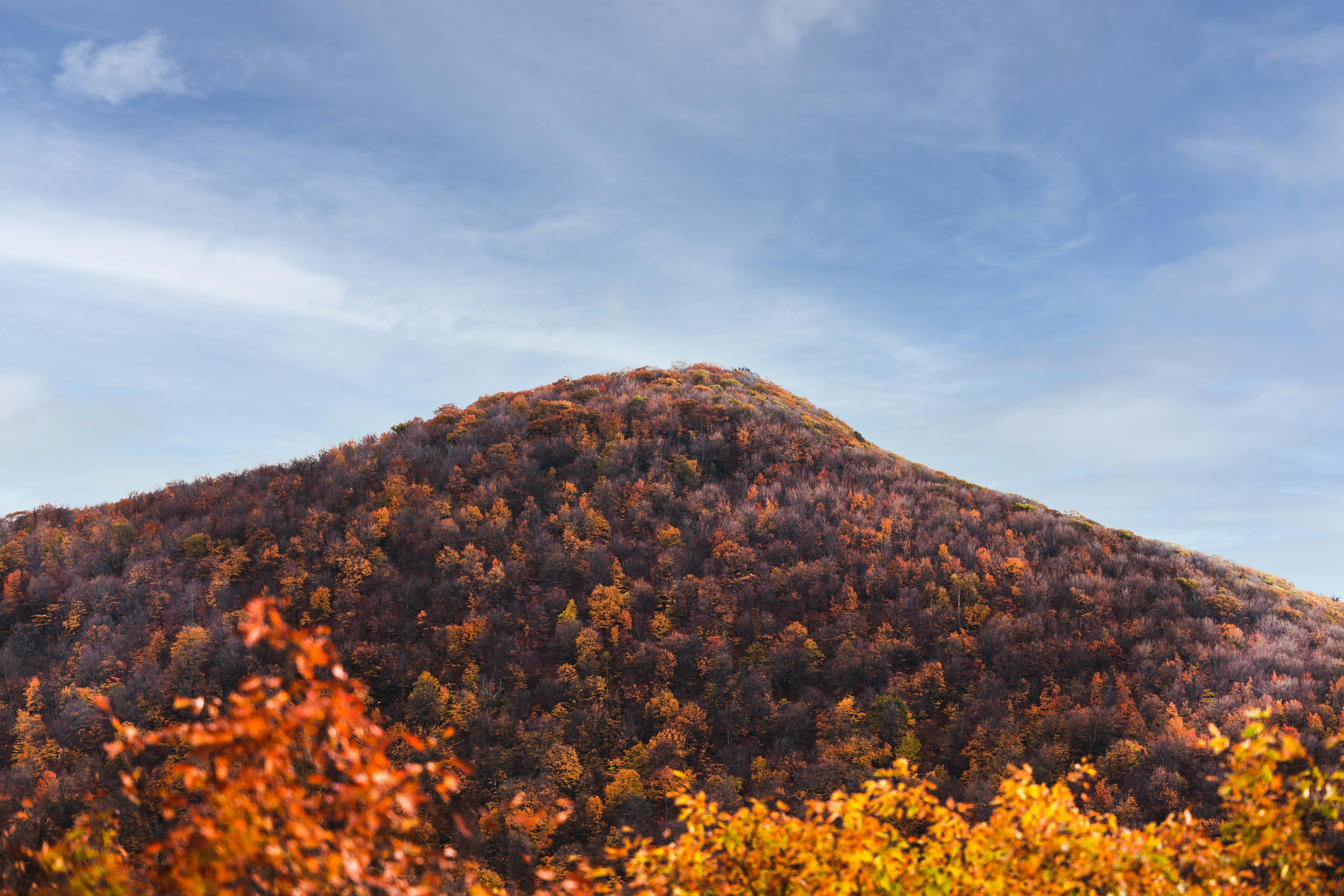 November 2025 Events