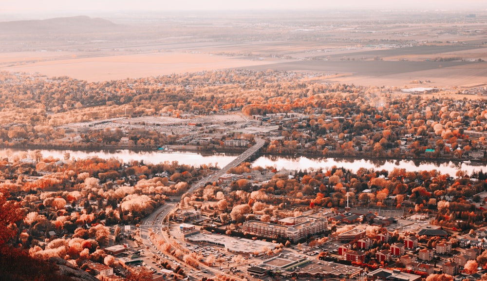 an aerial view of a city surrounded by trees