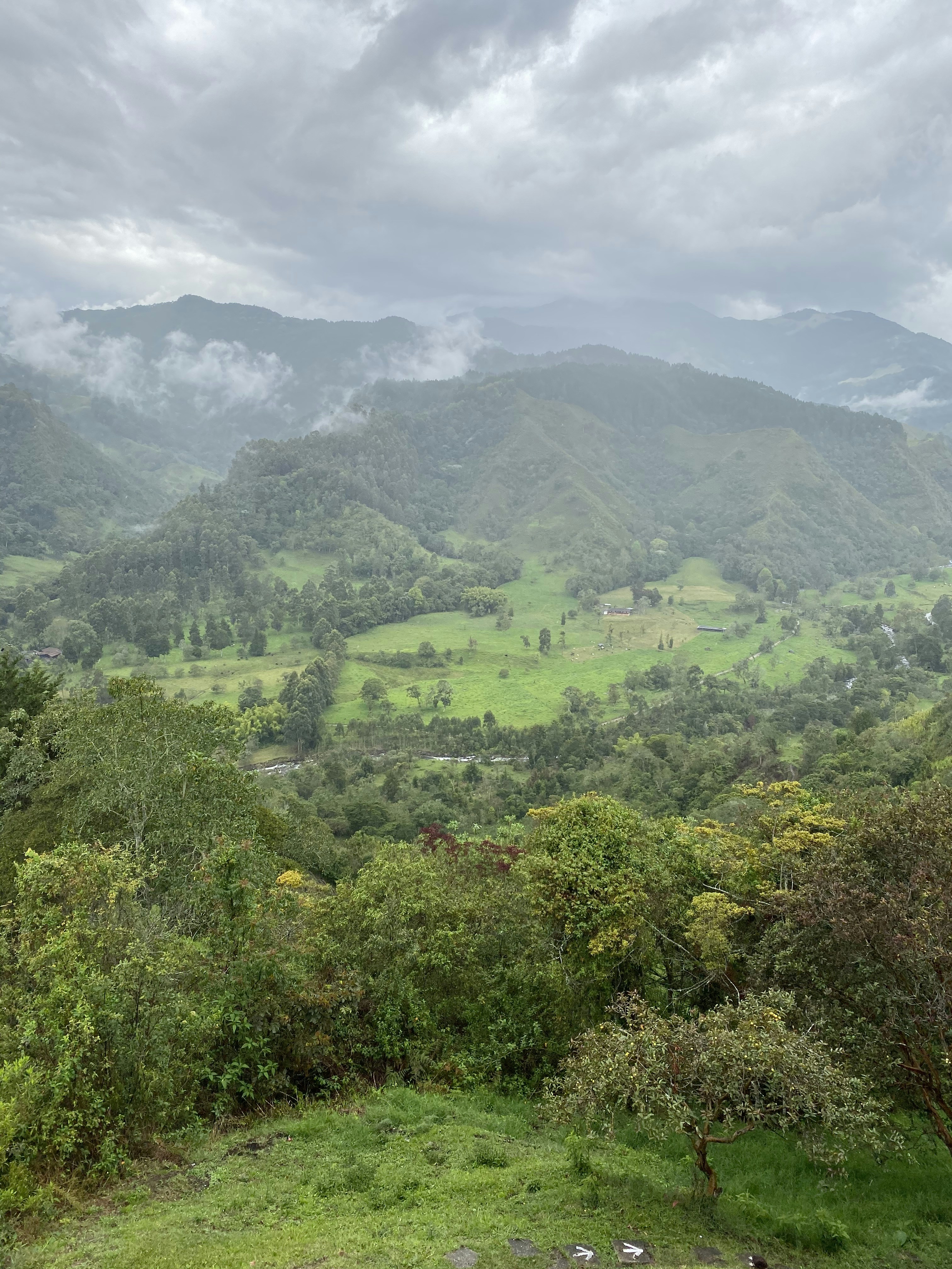 a view of a lush green valley with mountains in the background