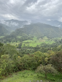 a view of a lush green valley with mountains in the background