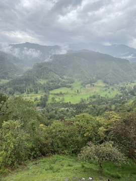 a view of a lush green valley with mountains in the background