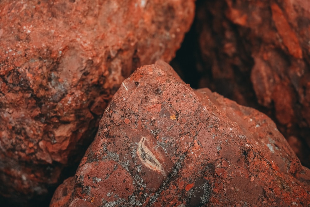 a close up of some rocks with a bird on it