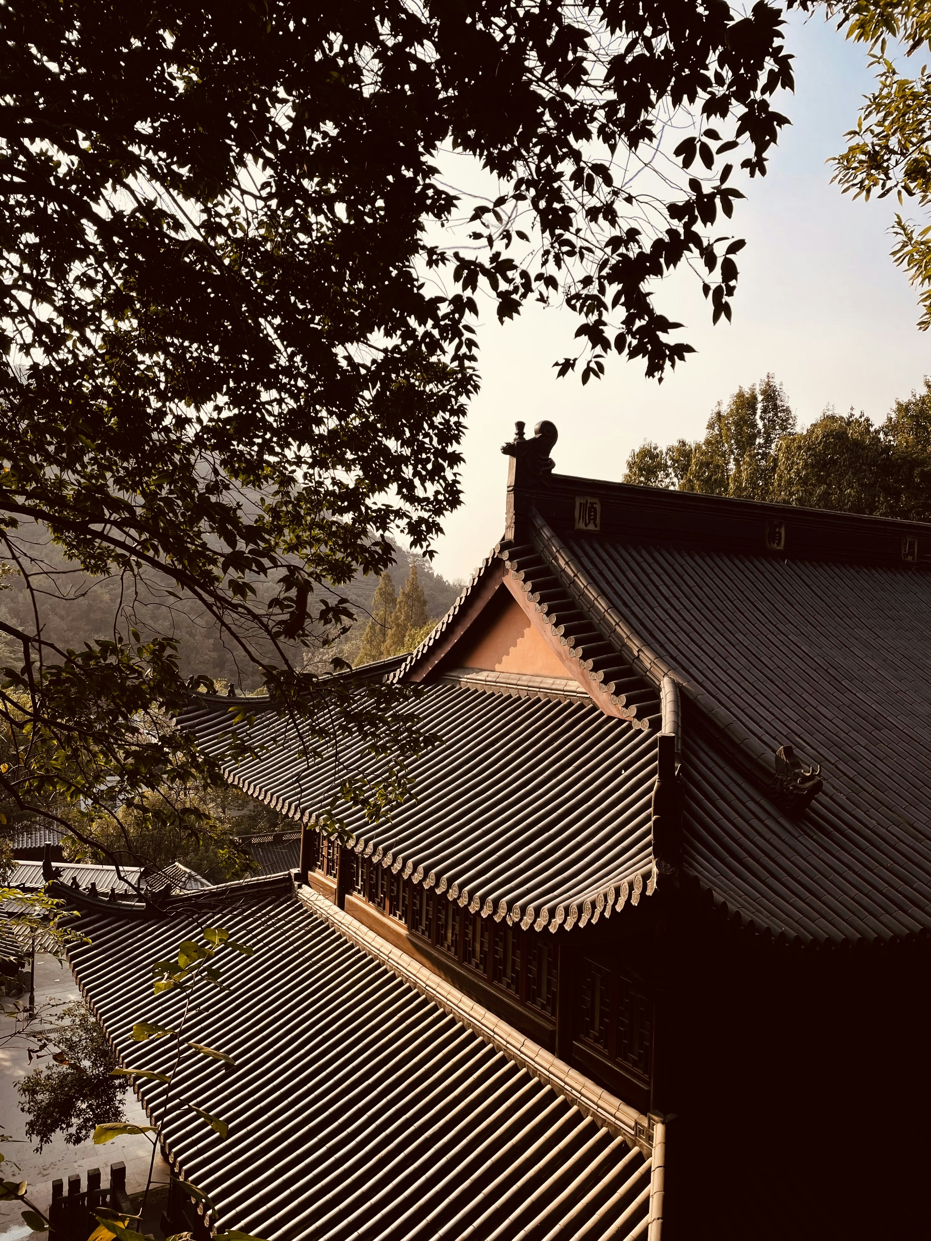 Photo by kackblack
