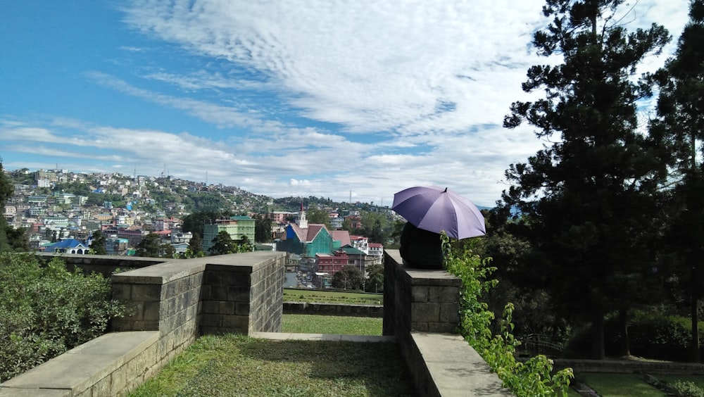 a person with a purple umbrella looking over a wall