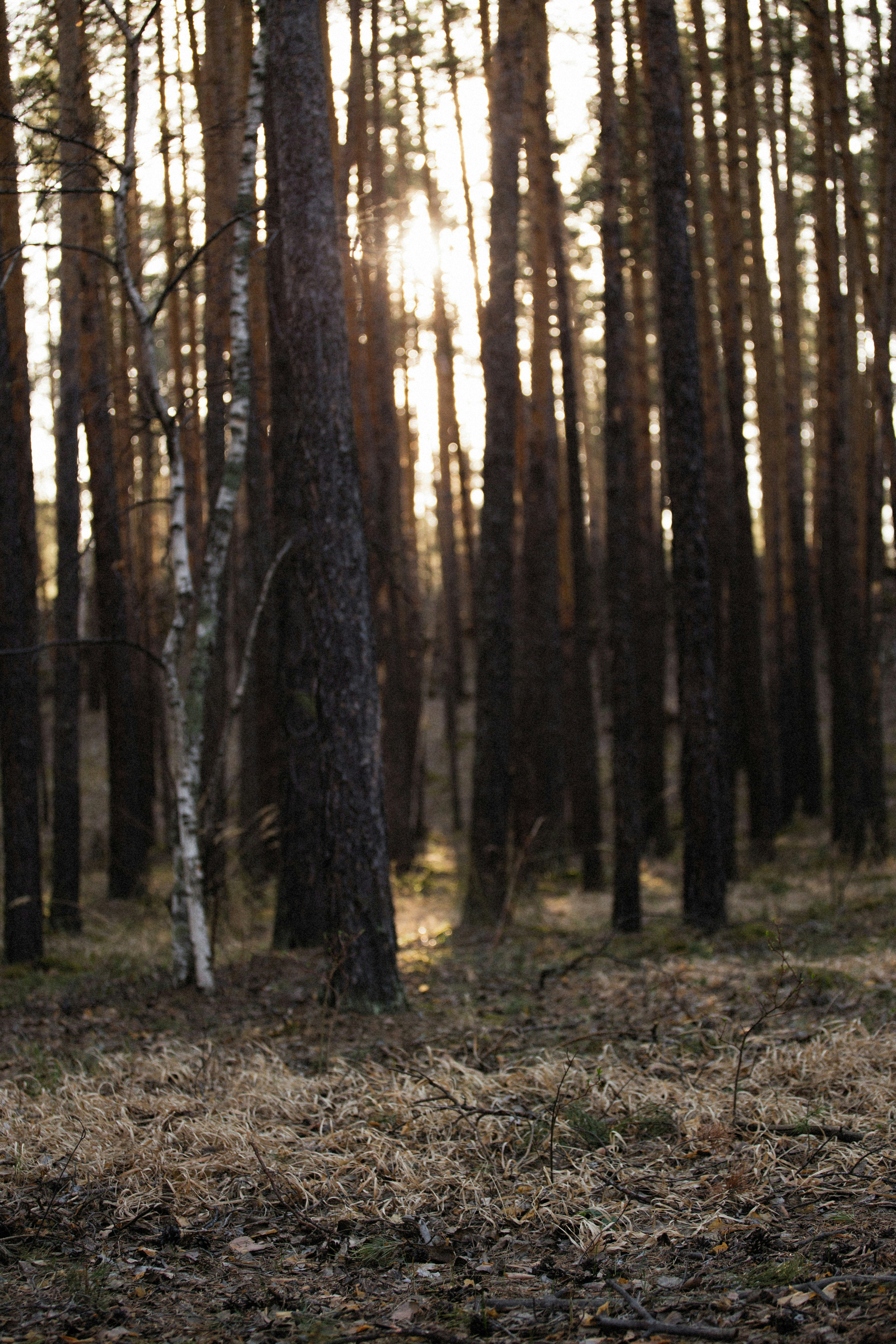 Photo by alexeydemidov