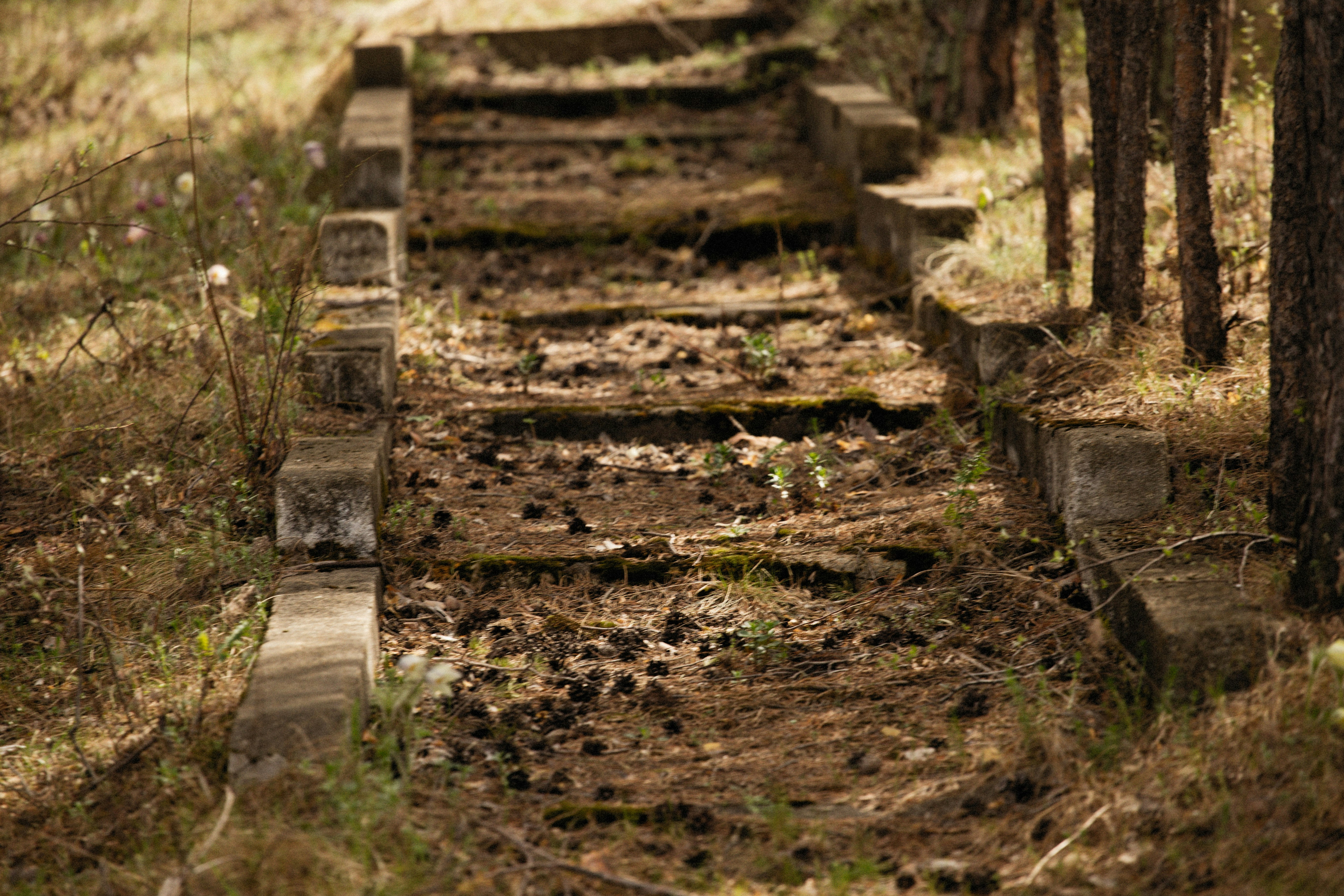 Photo by alexeydemidov