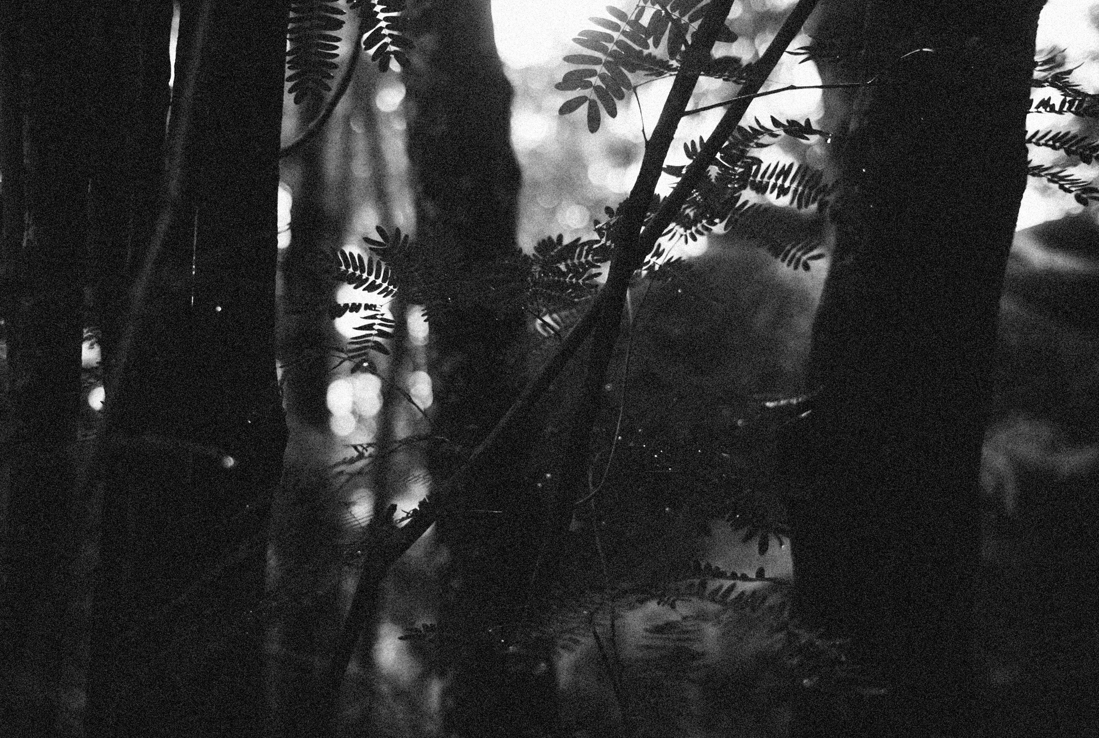 Photo by alexeydemidov