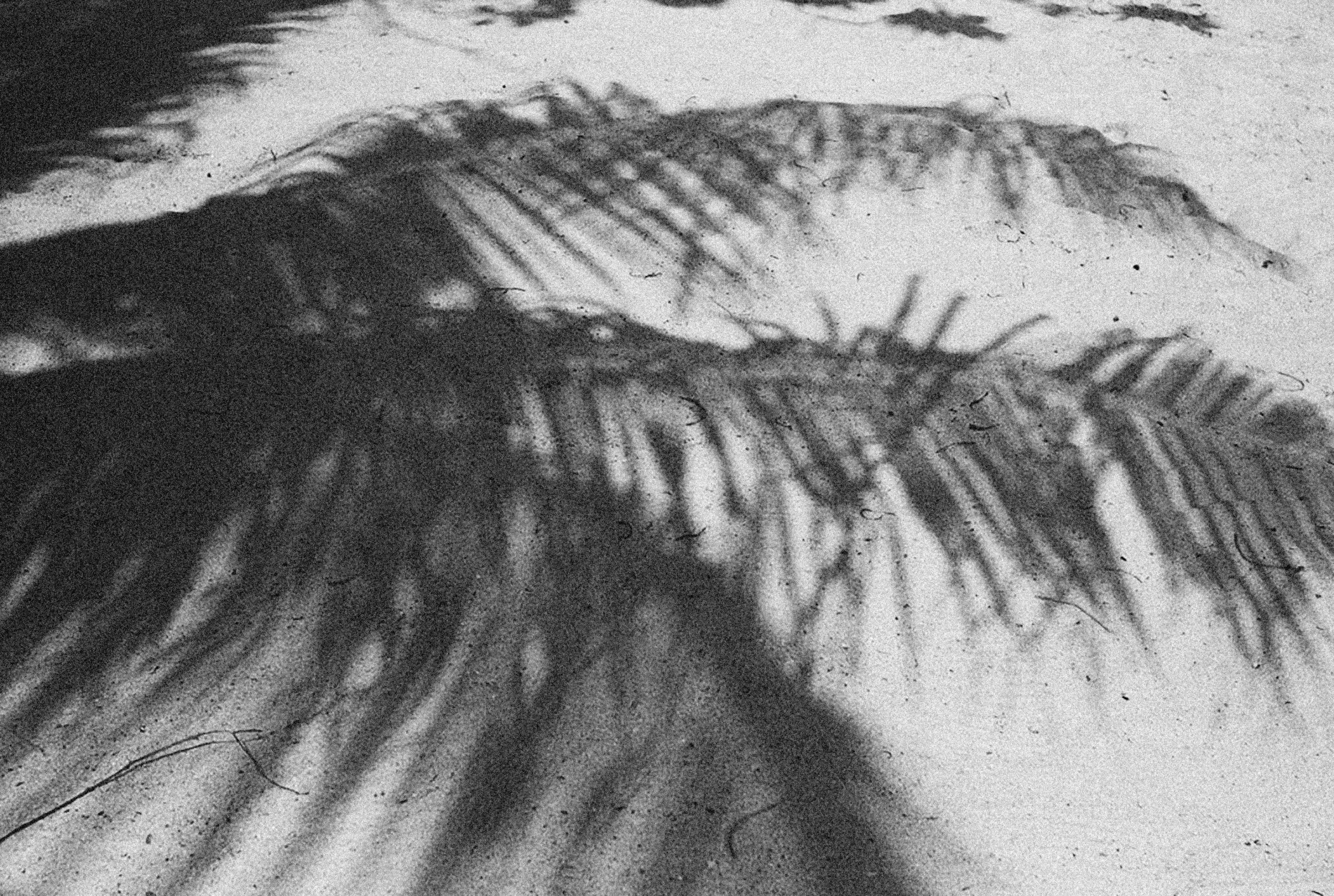 Photo by alexeydemidov