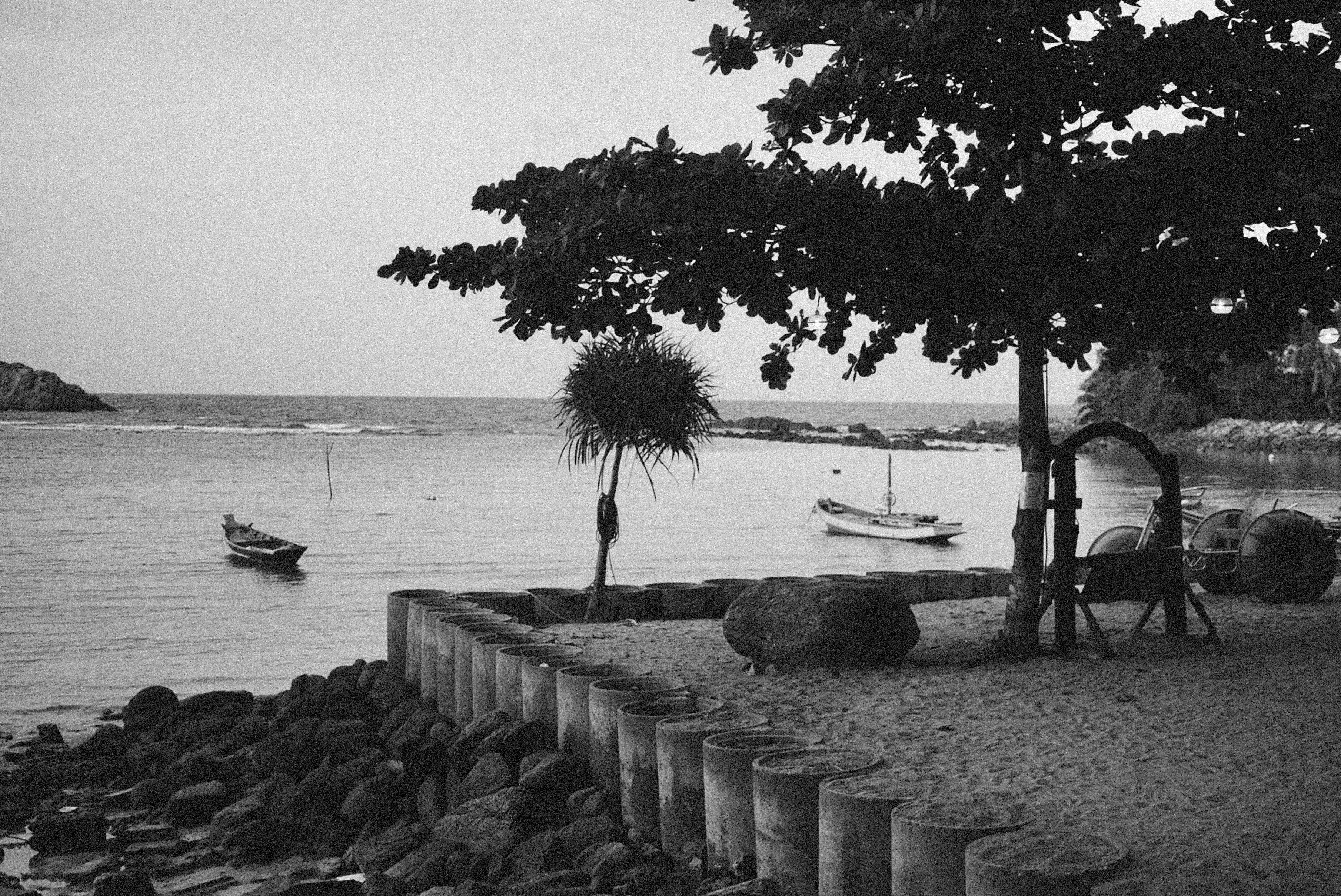 Photo by alexeydemidov