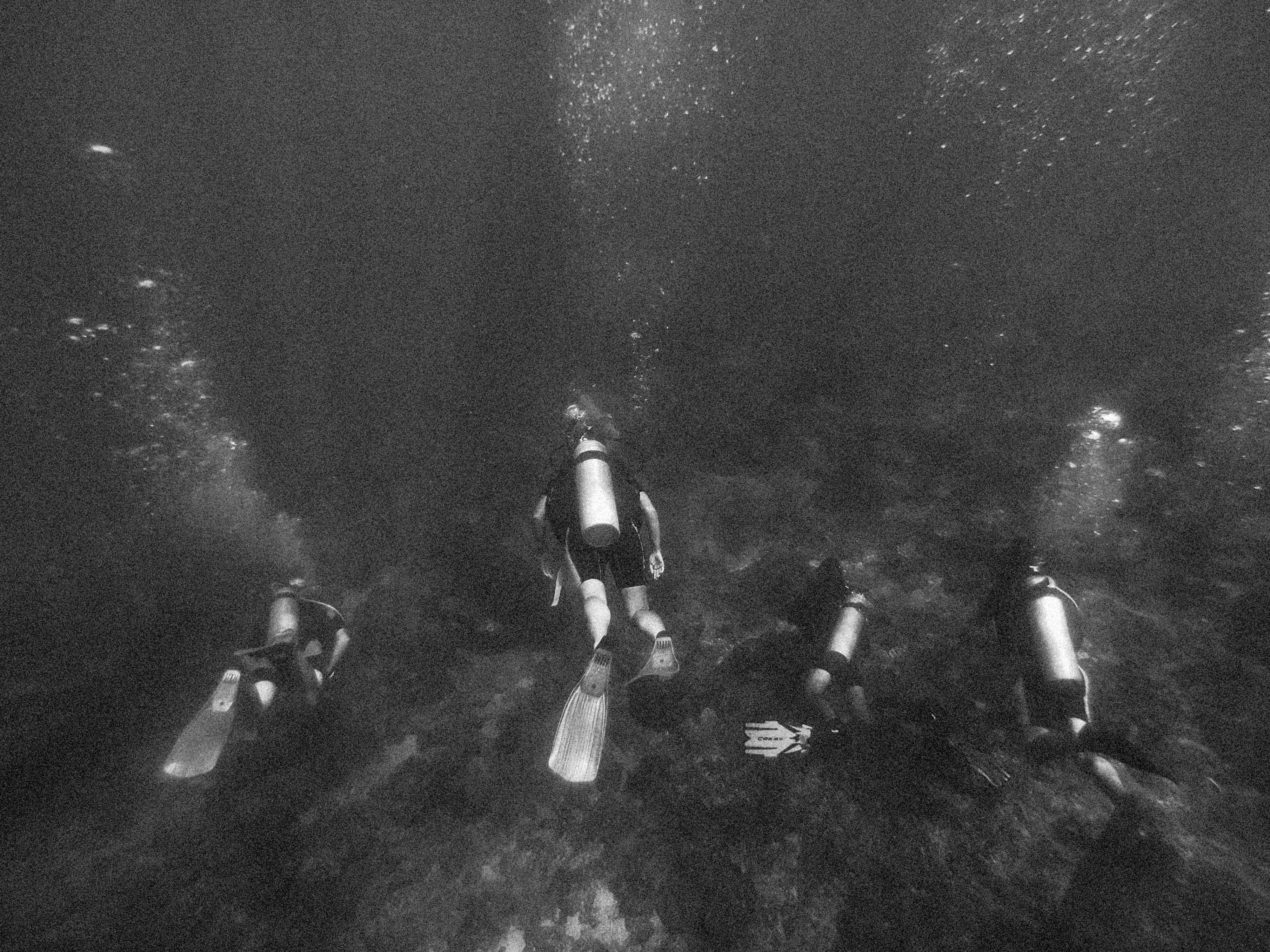a group of people riding on top of surfboards in the ocean
