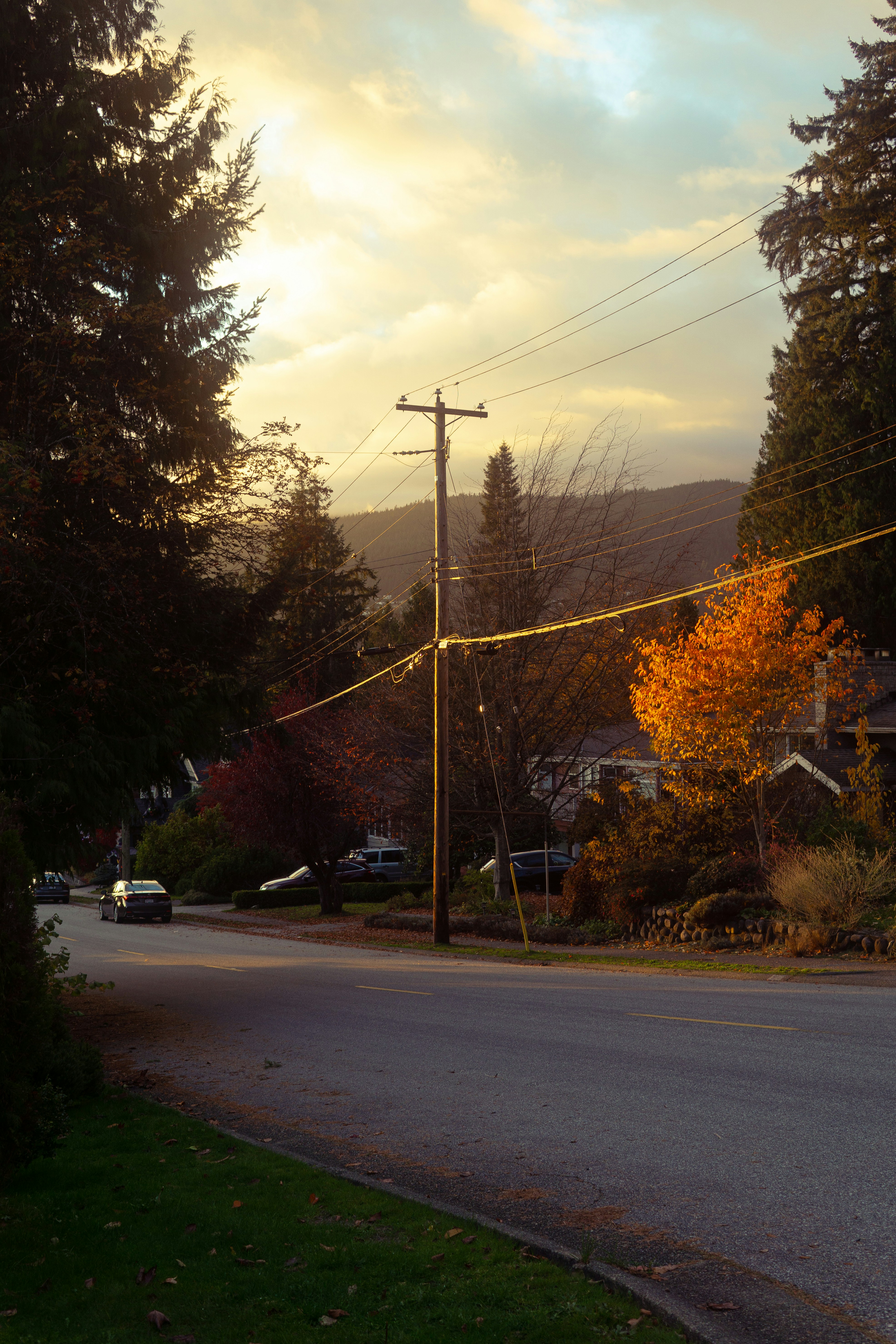 Photo by victormagese