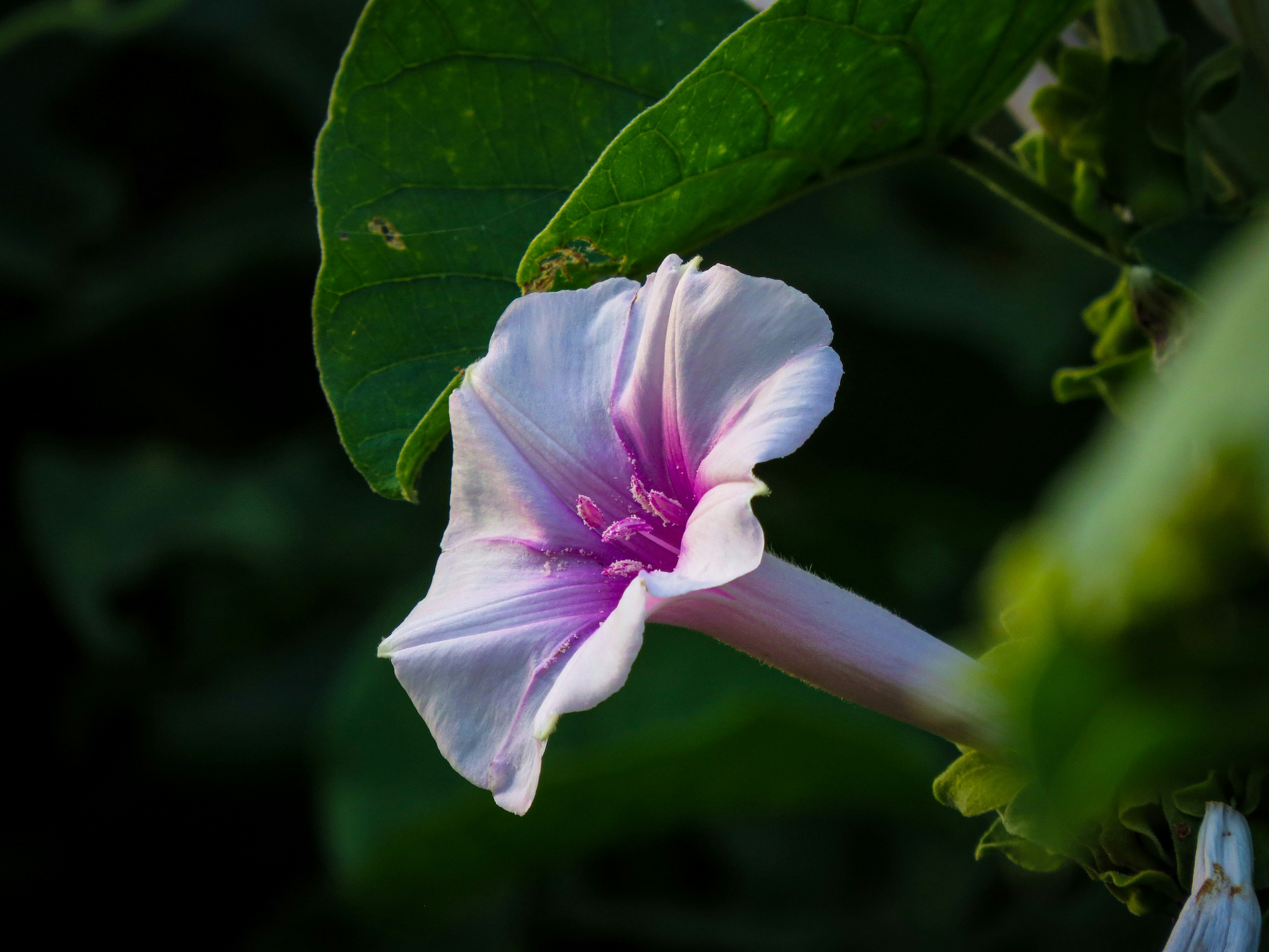 Photo by anandramavath_786