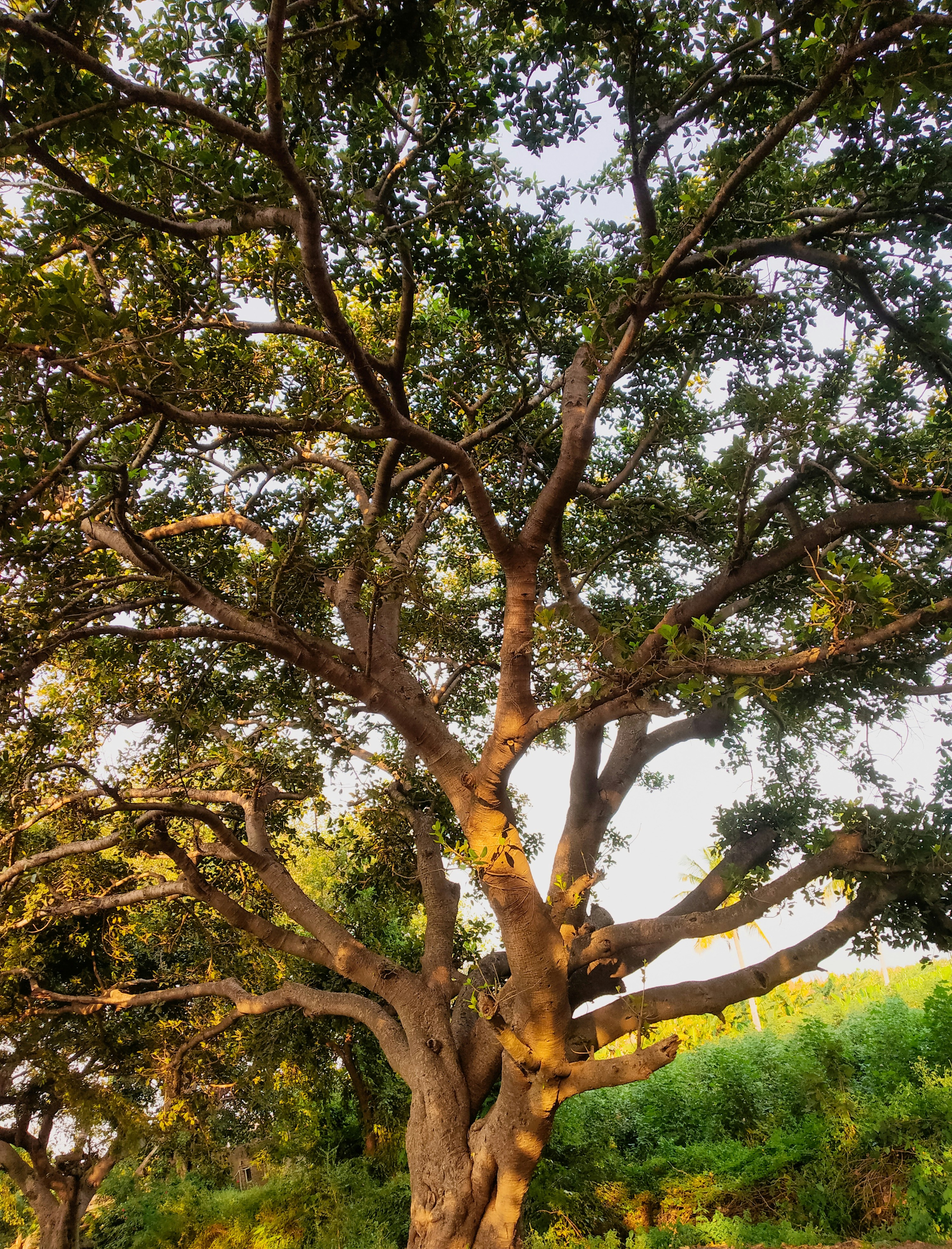 Photo by atomsmasher