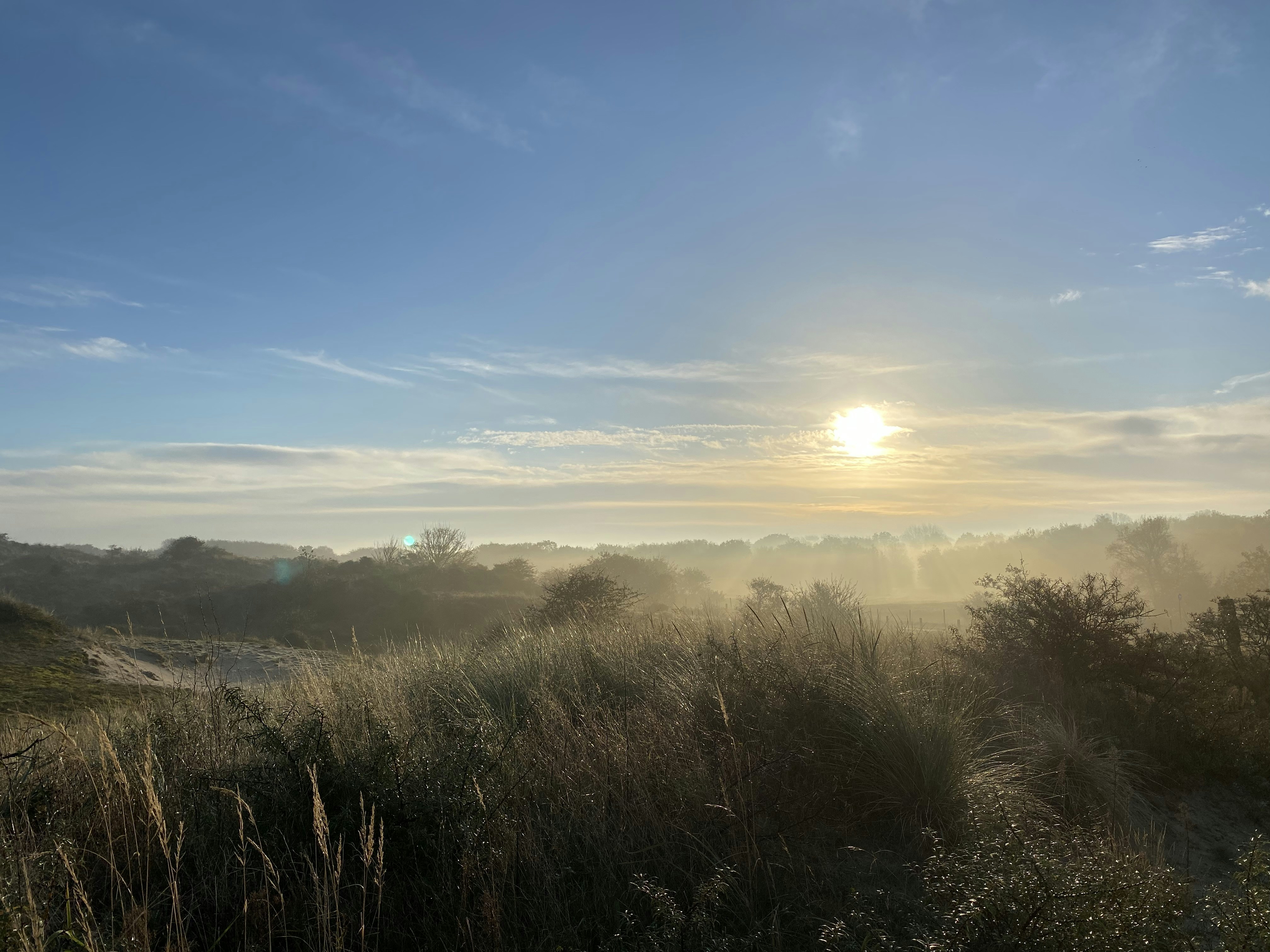 Photo by majakarolina