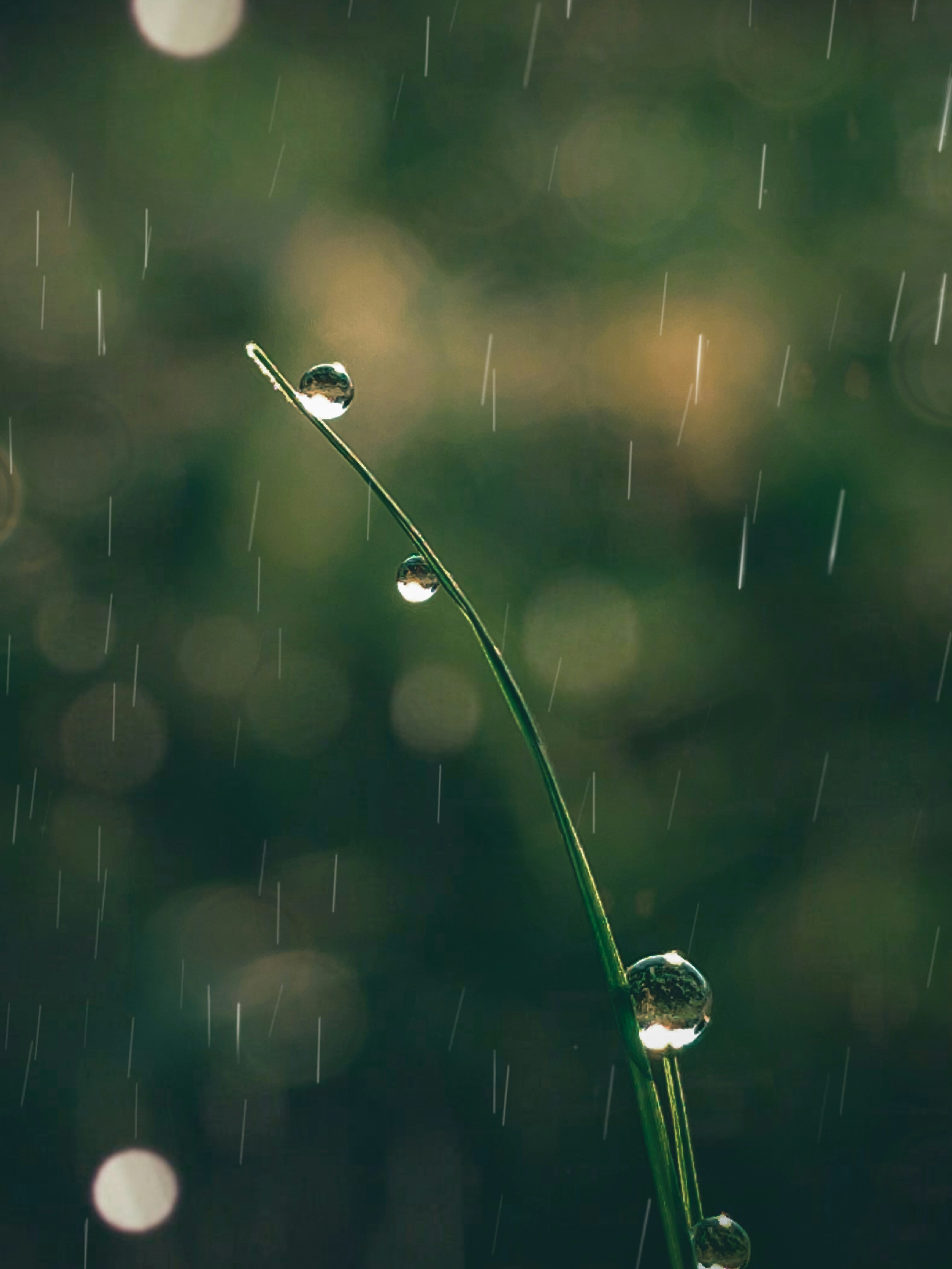 Photo by edi_tzworld