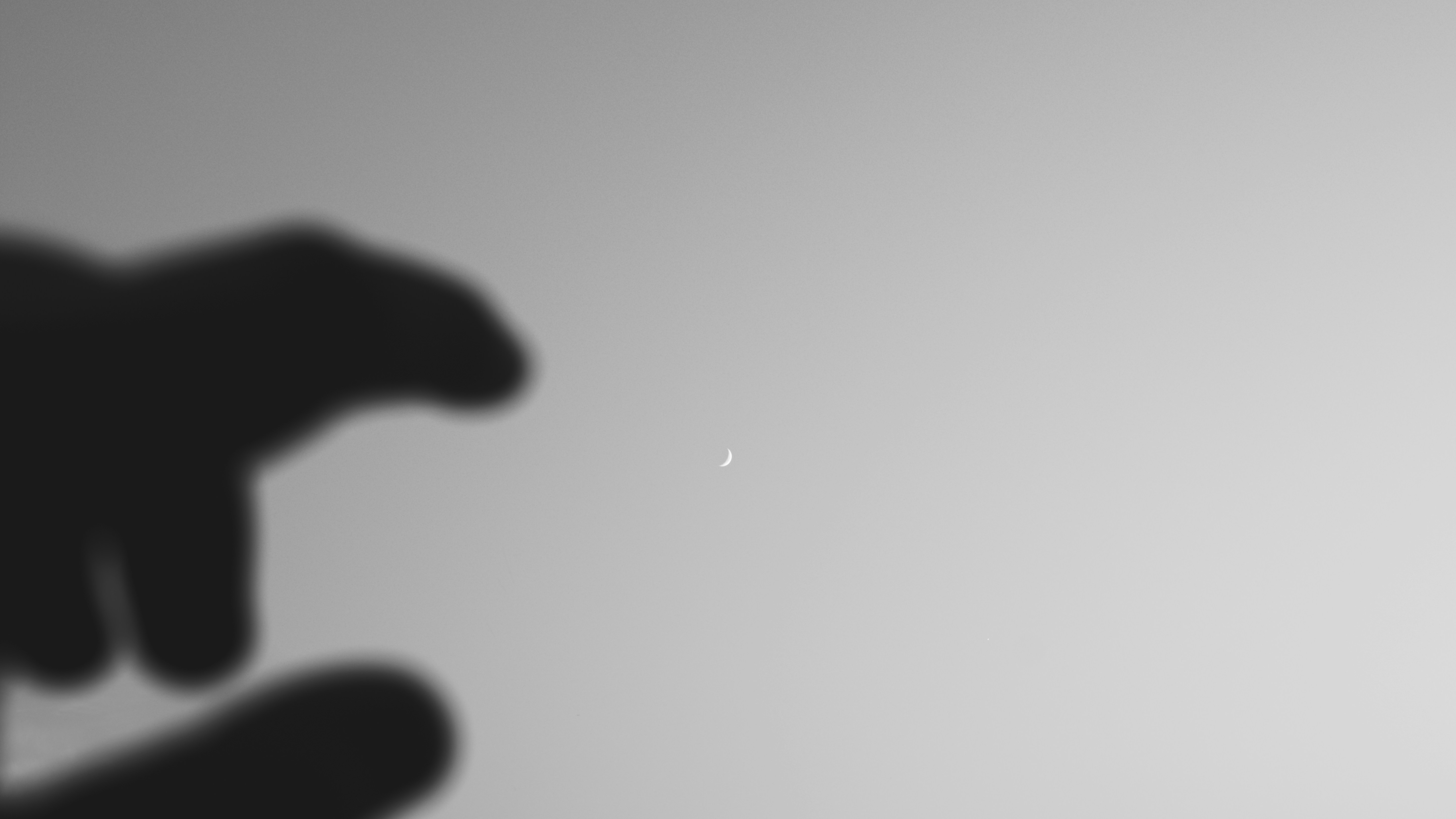 Photo by thefinalshot