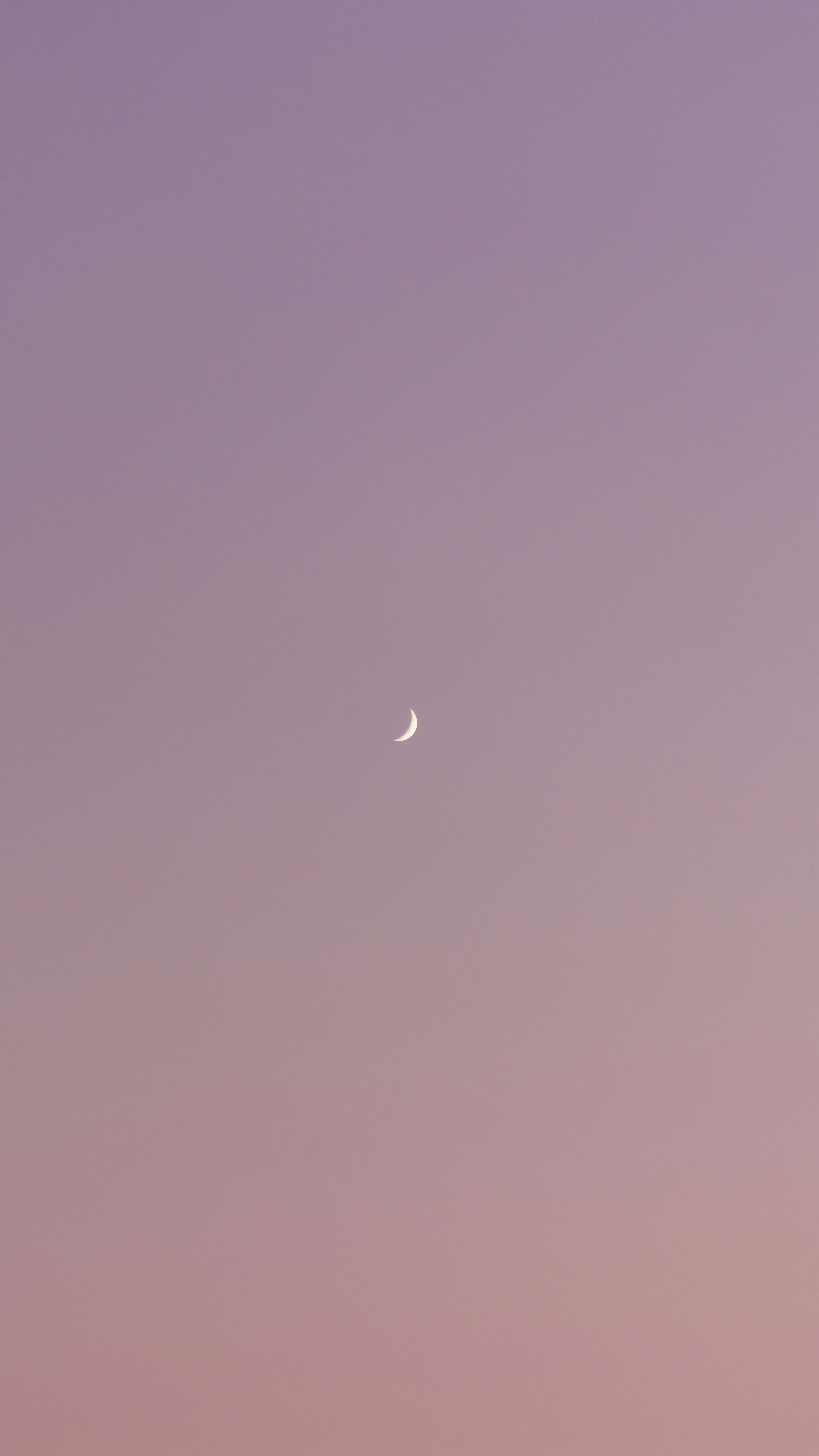 Photo by thefinalshot