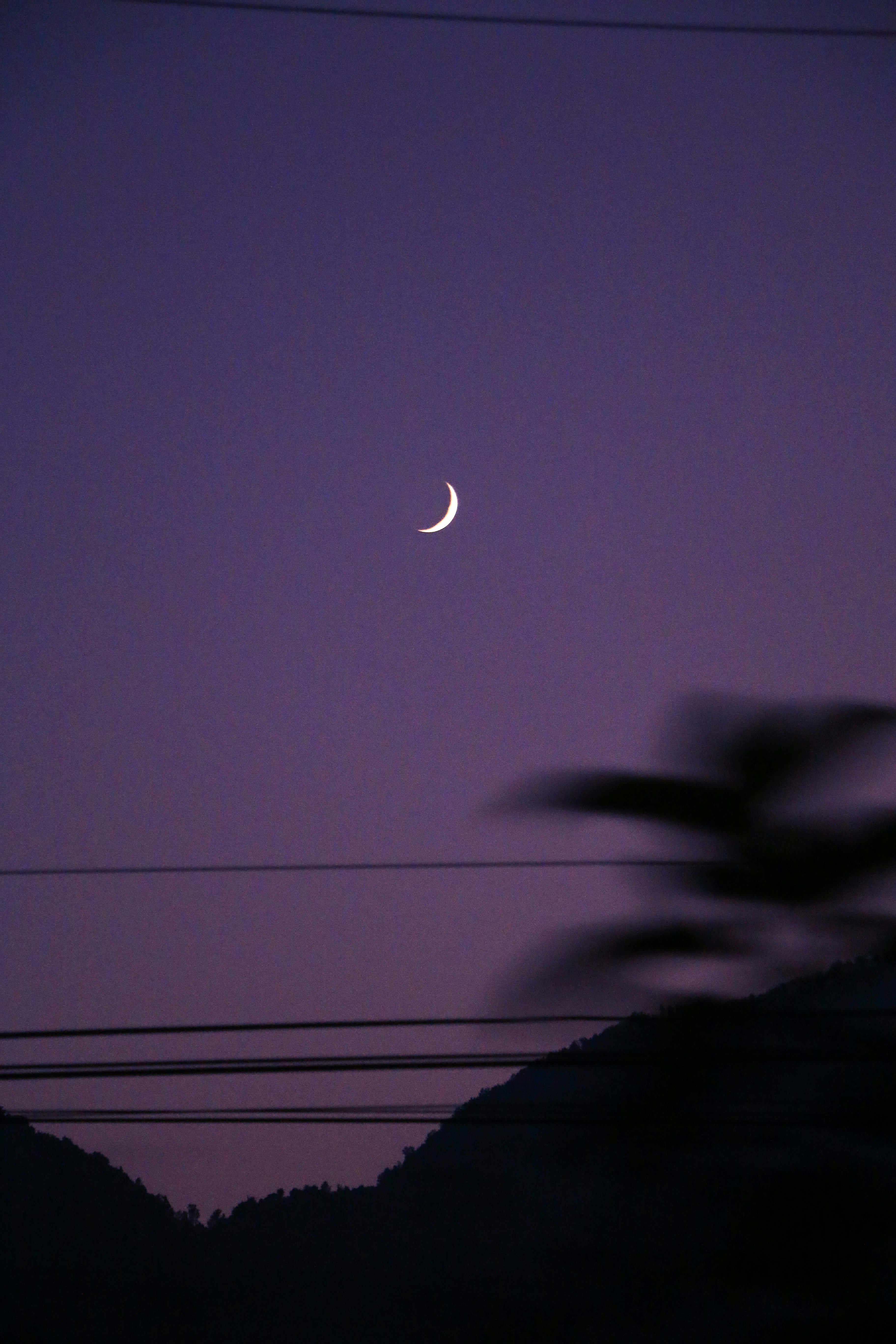 Bulan terlihat di langit ungu