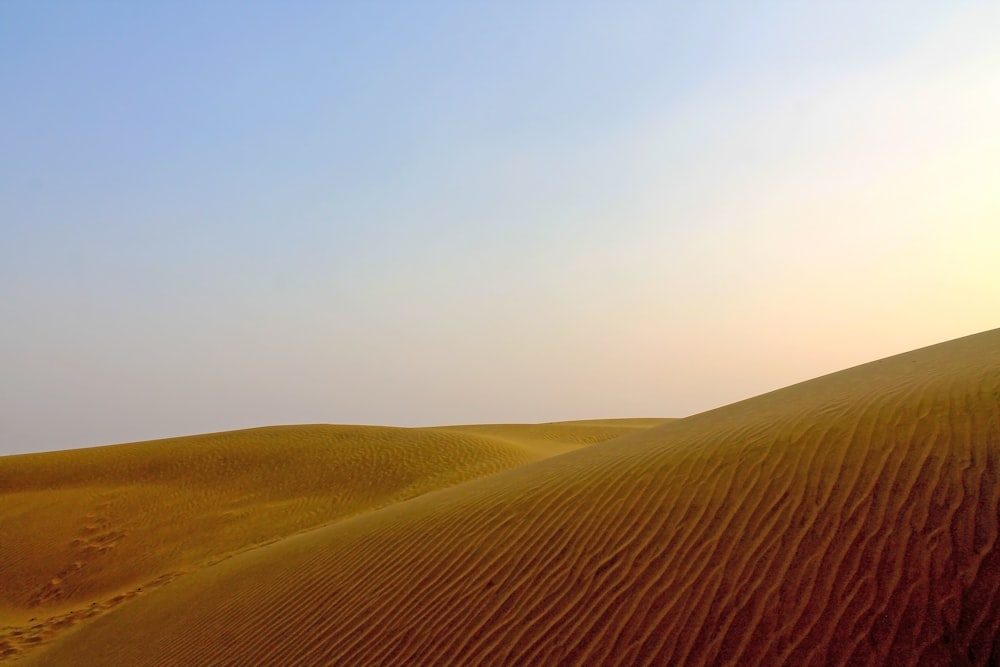 a lone tree in the middle of a desert