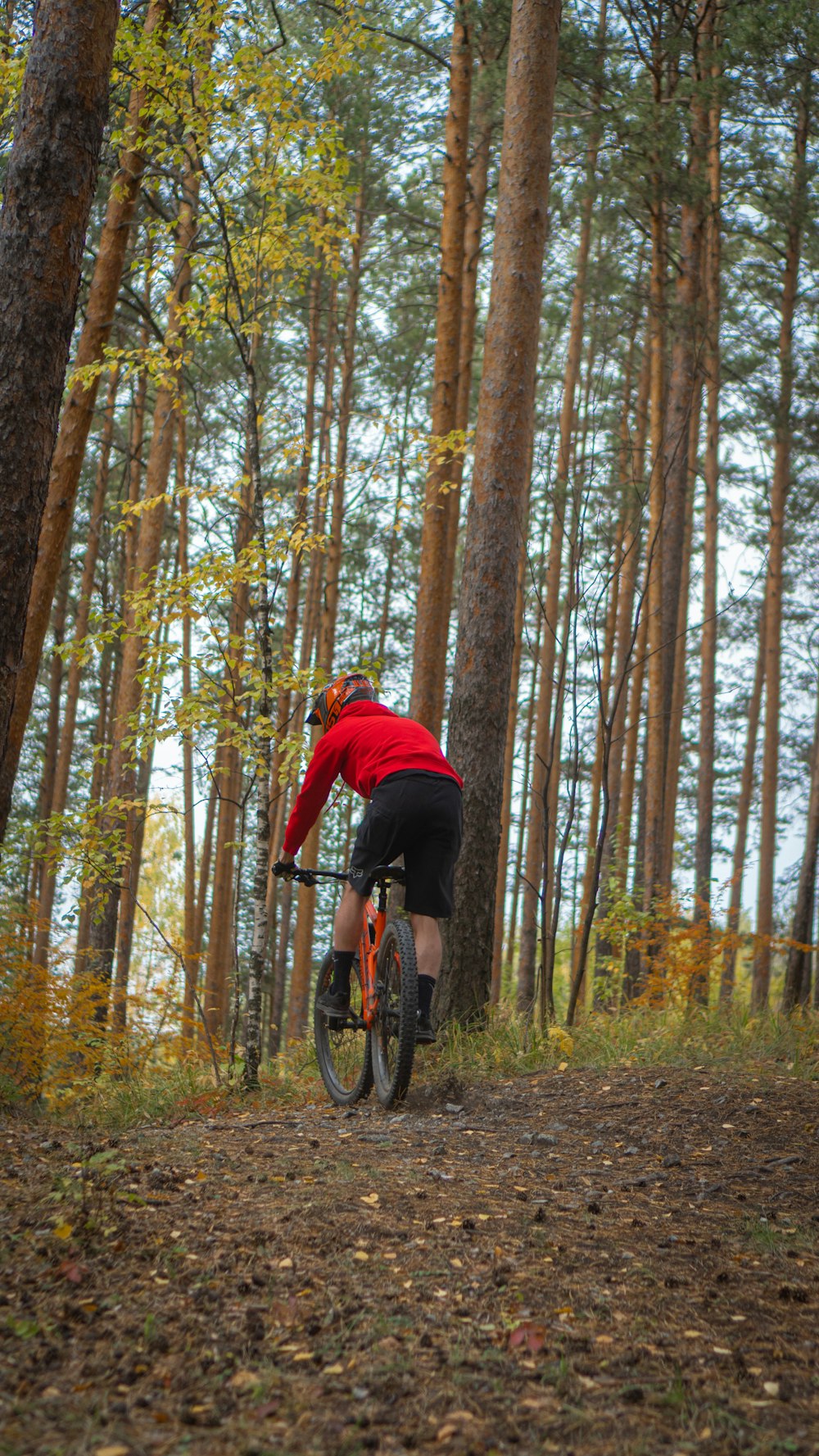 a man riding a bike through a forest