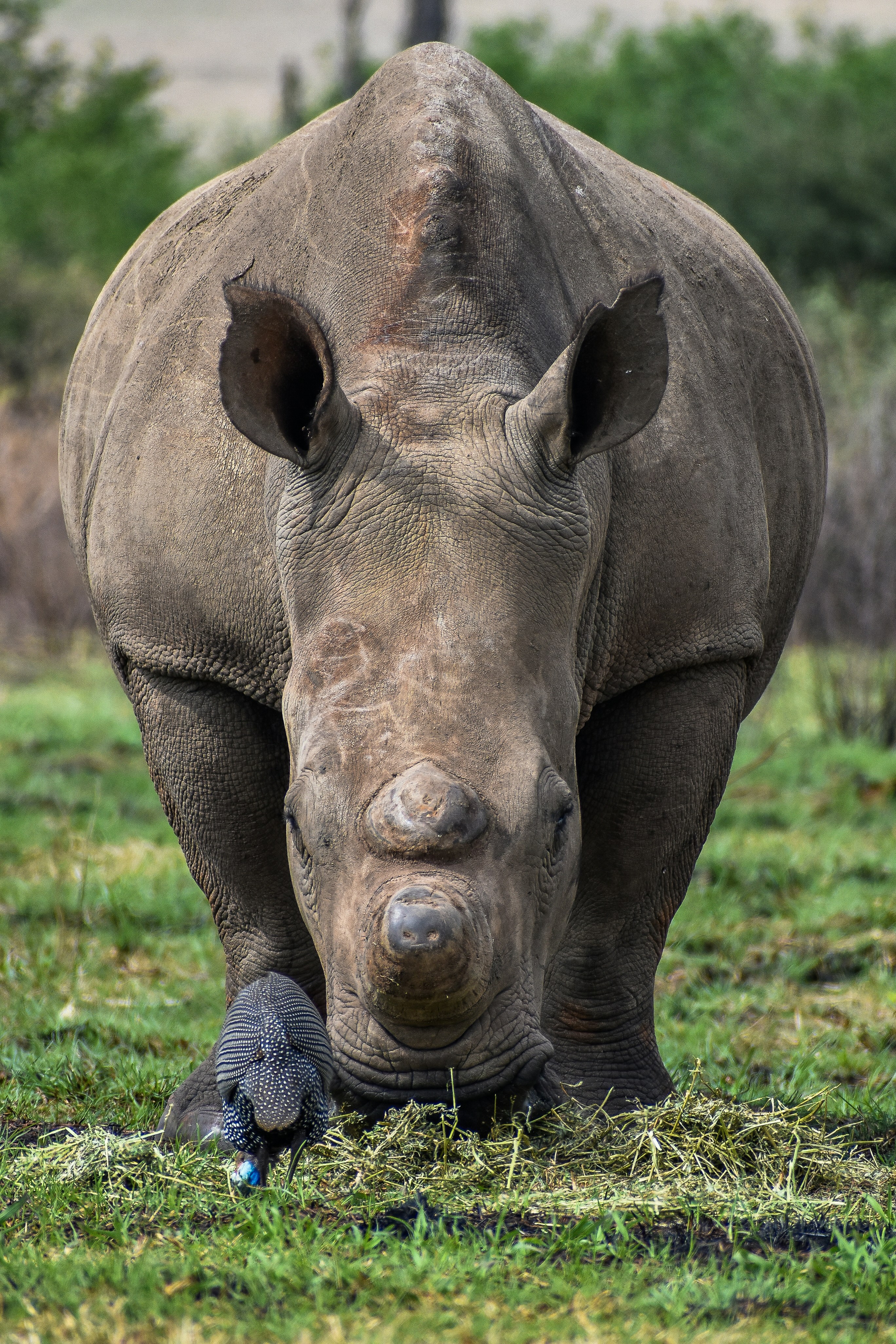 Photo by nadineventer_