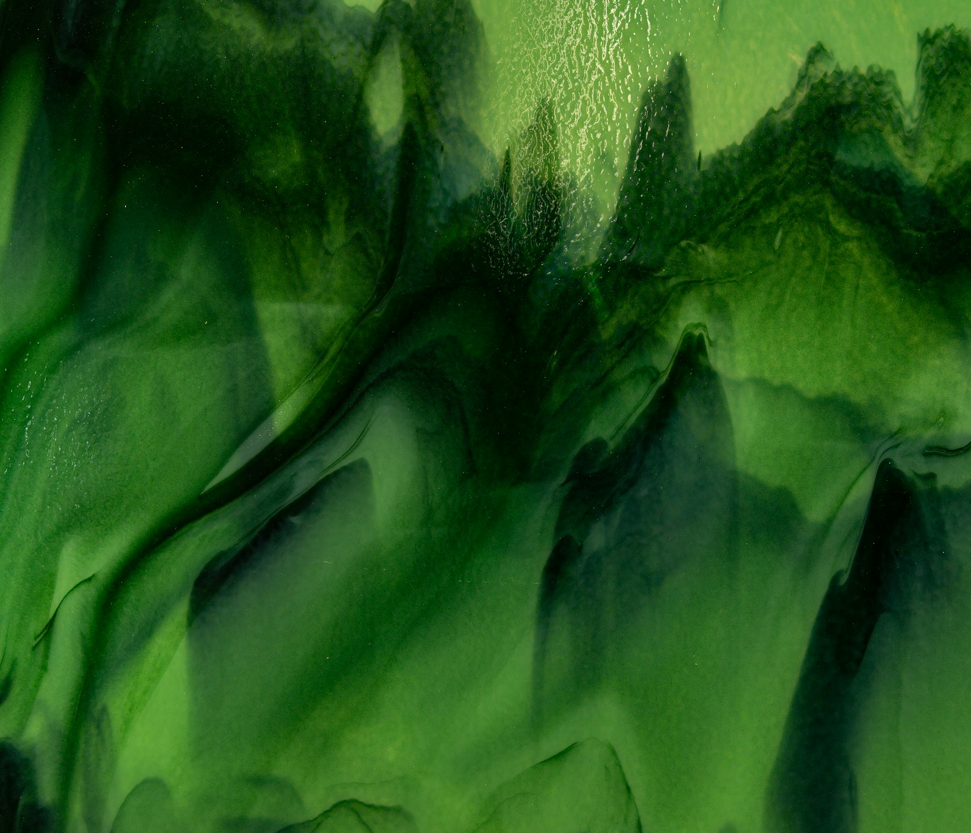 a close up of a green and black background