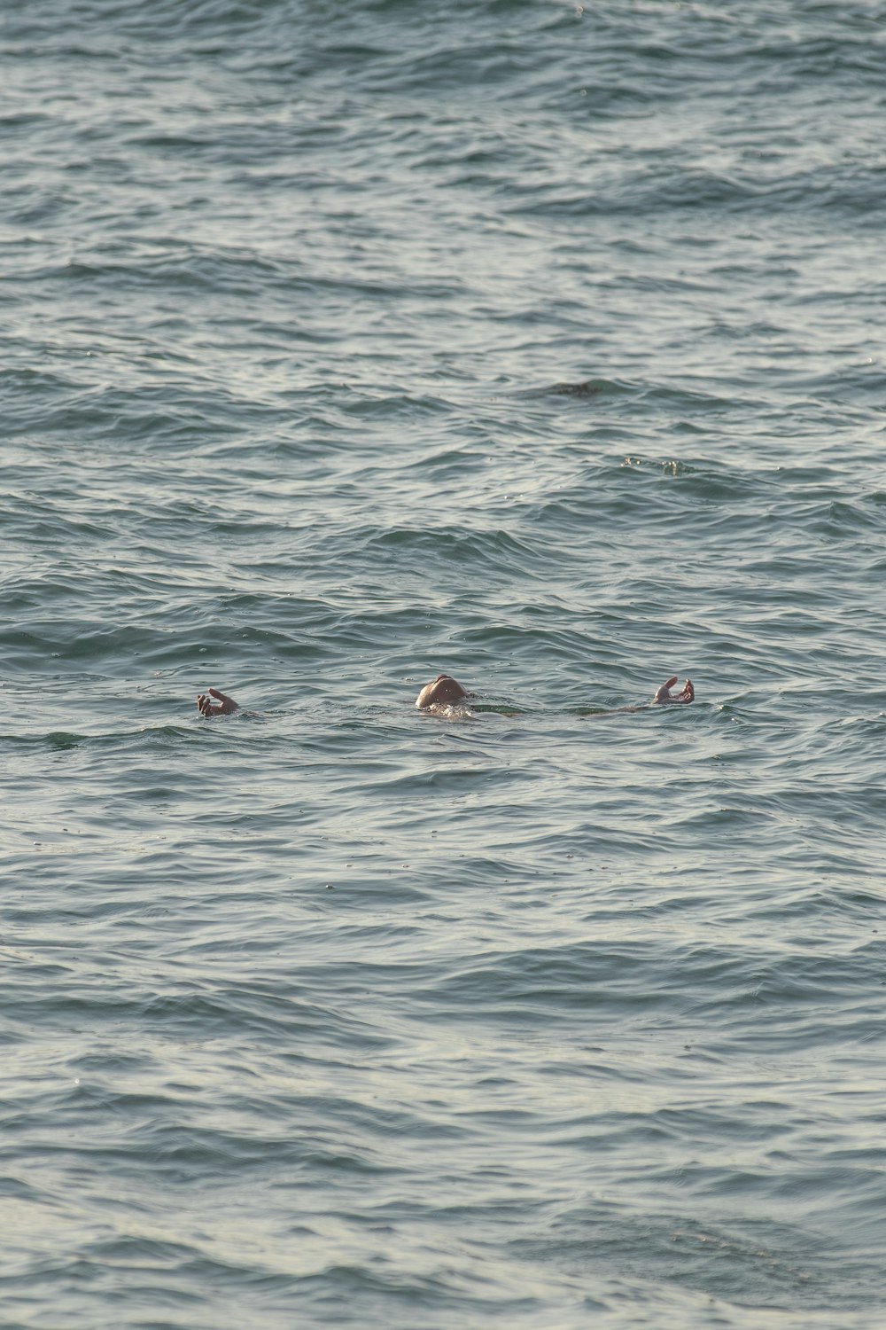 a group of people swimming in the ocean