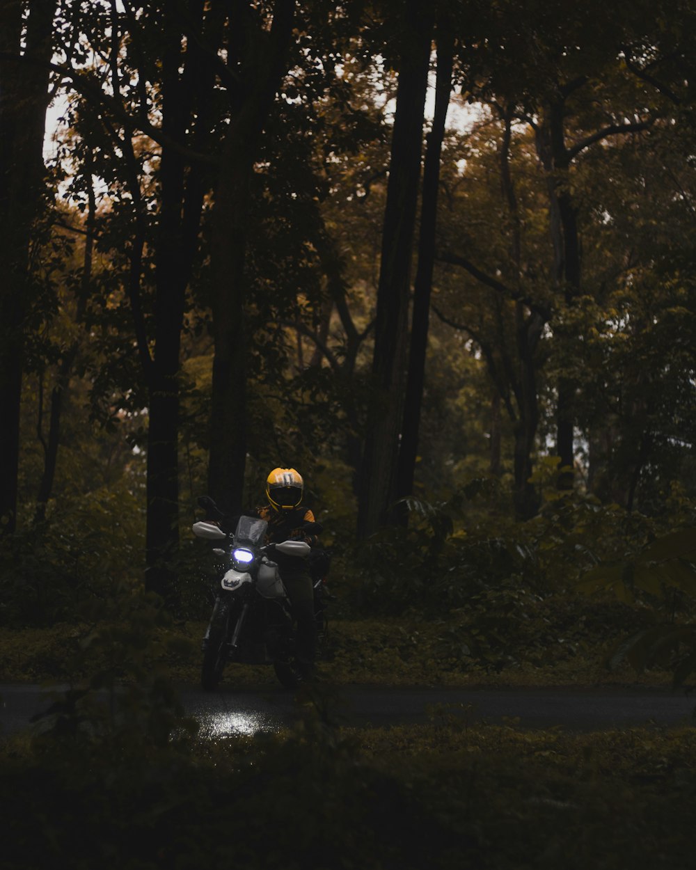 a person riding a motorcycle through a forest