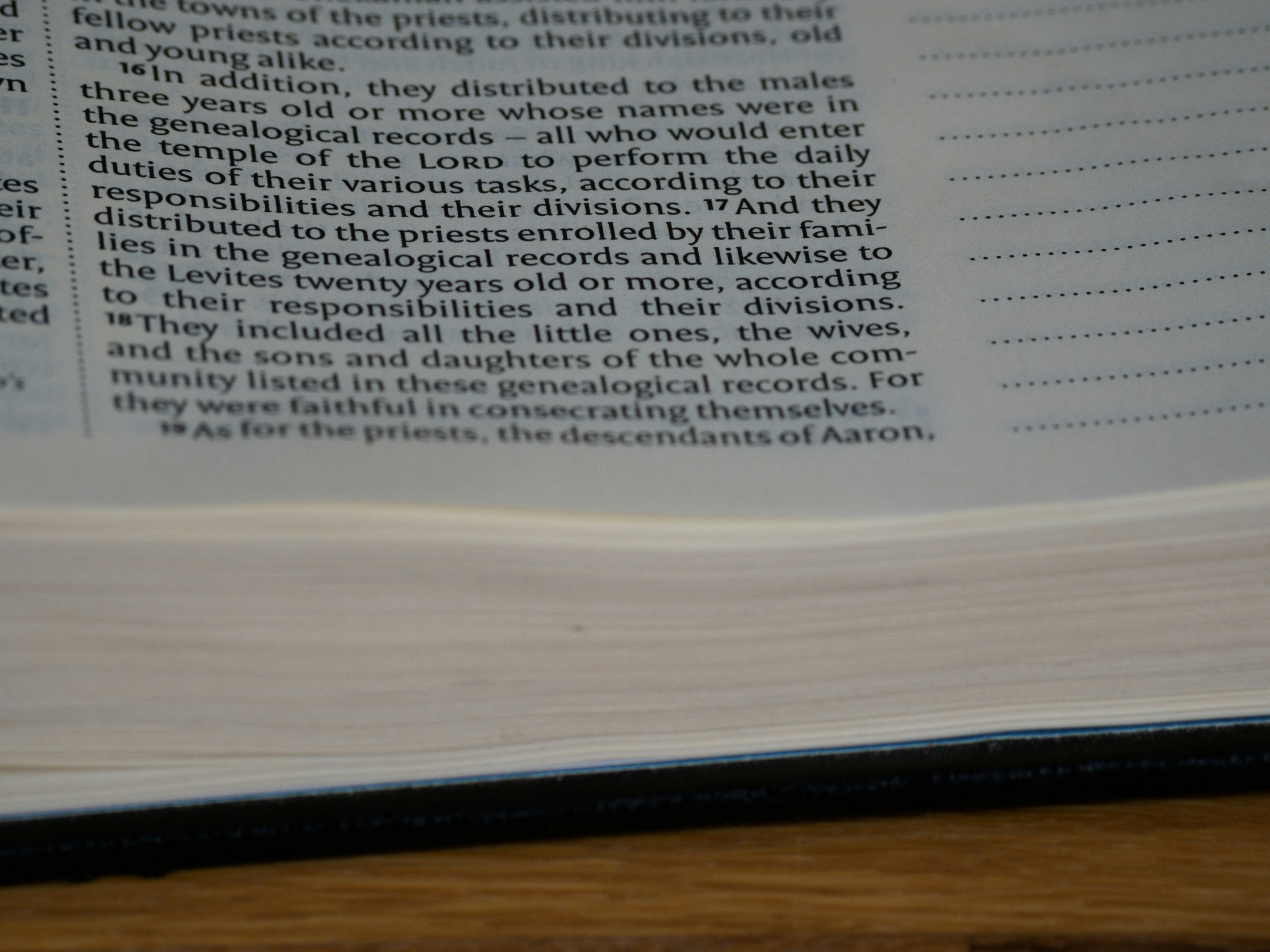 Photo by brett_jordan