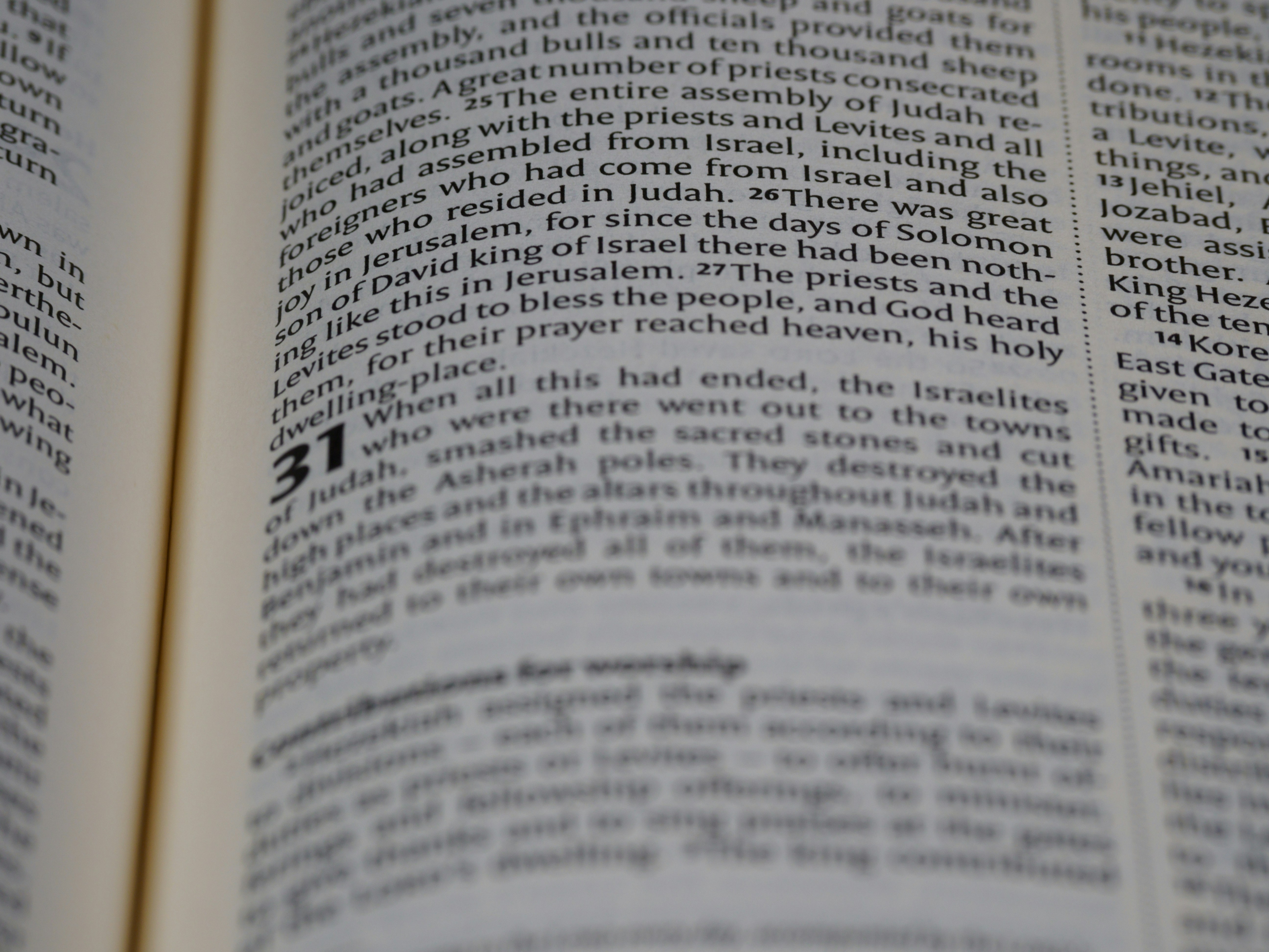 Photo by brett_jordan