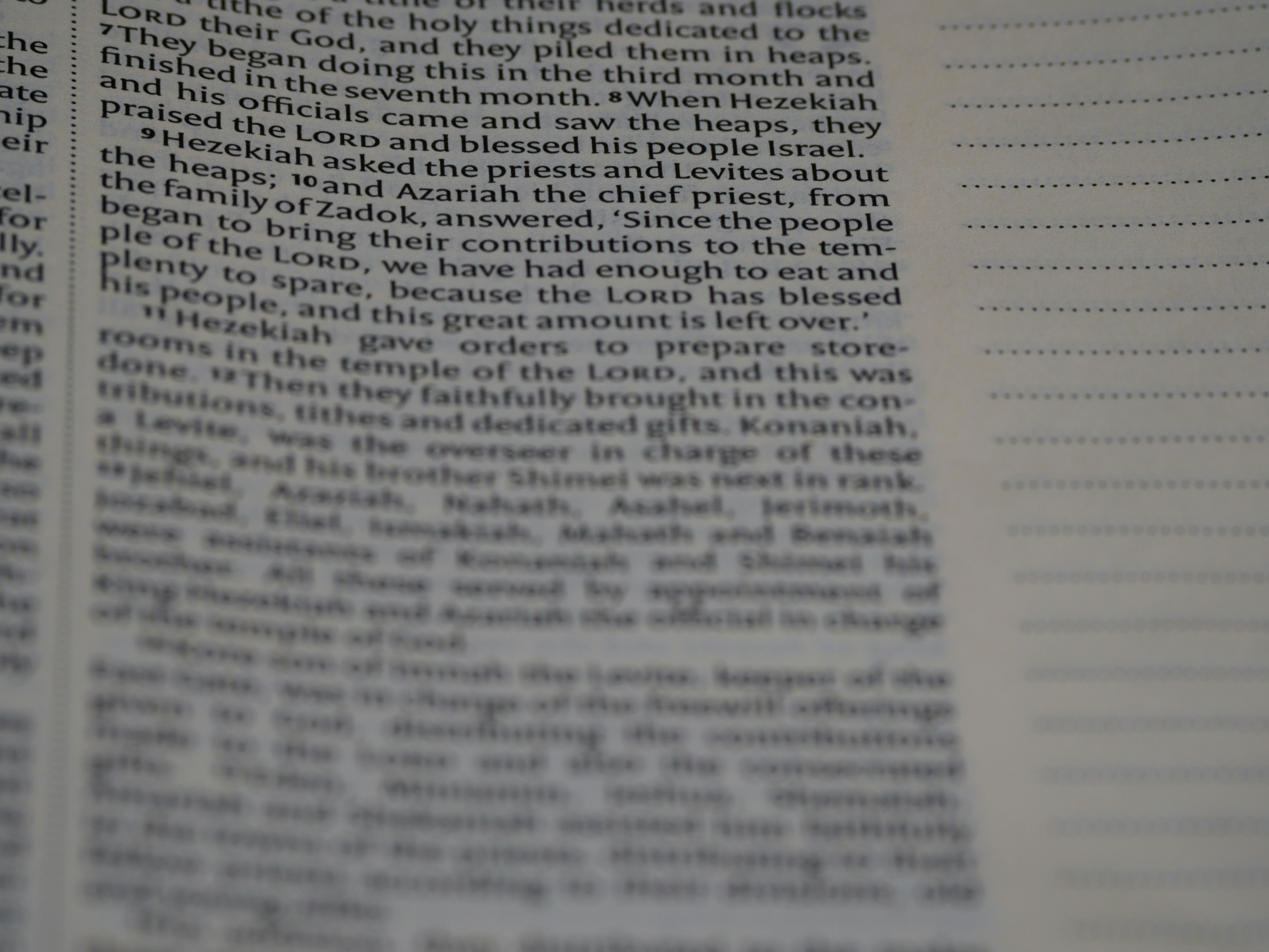 Photo by brett_jordan