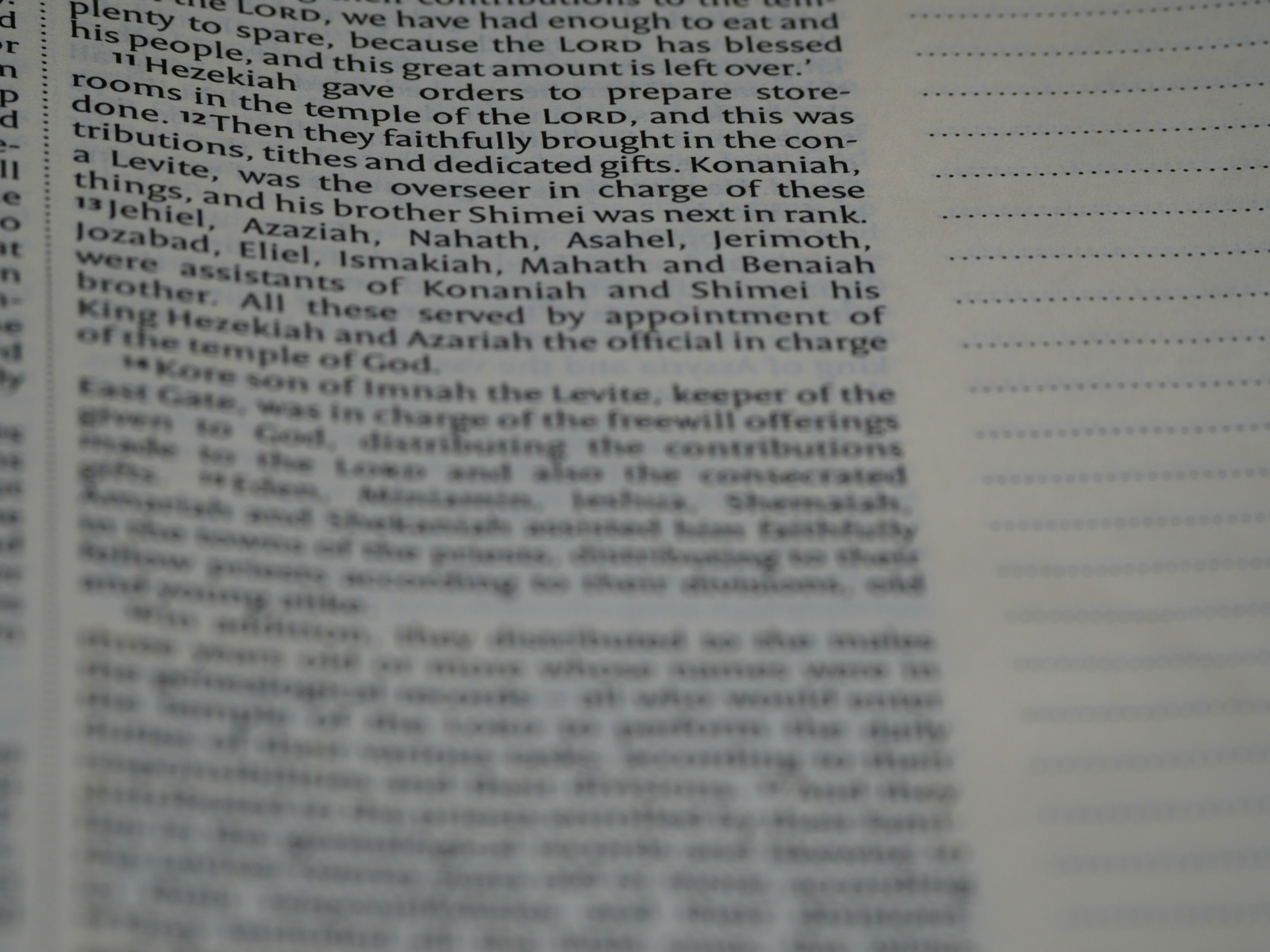 Photo by brett_jordan