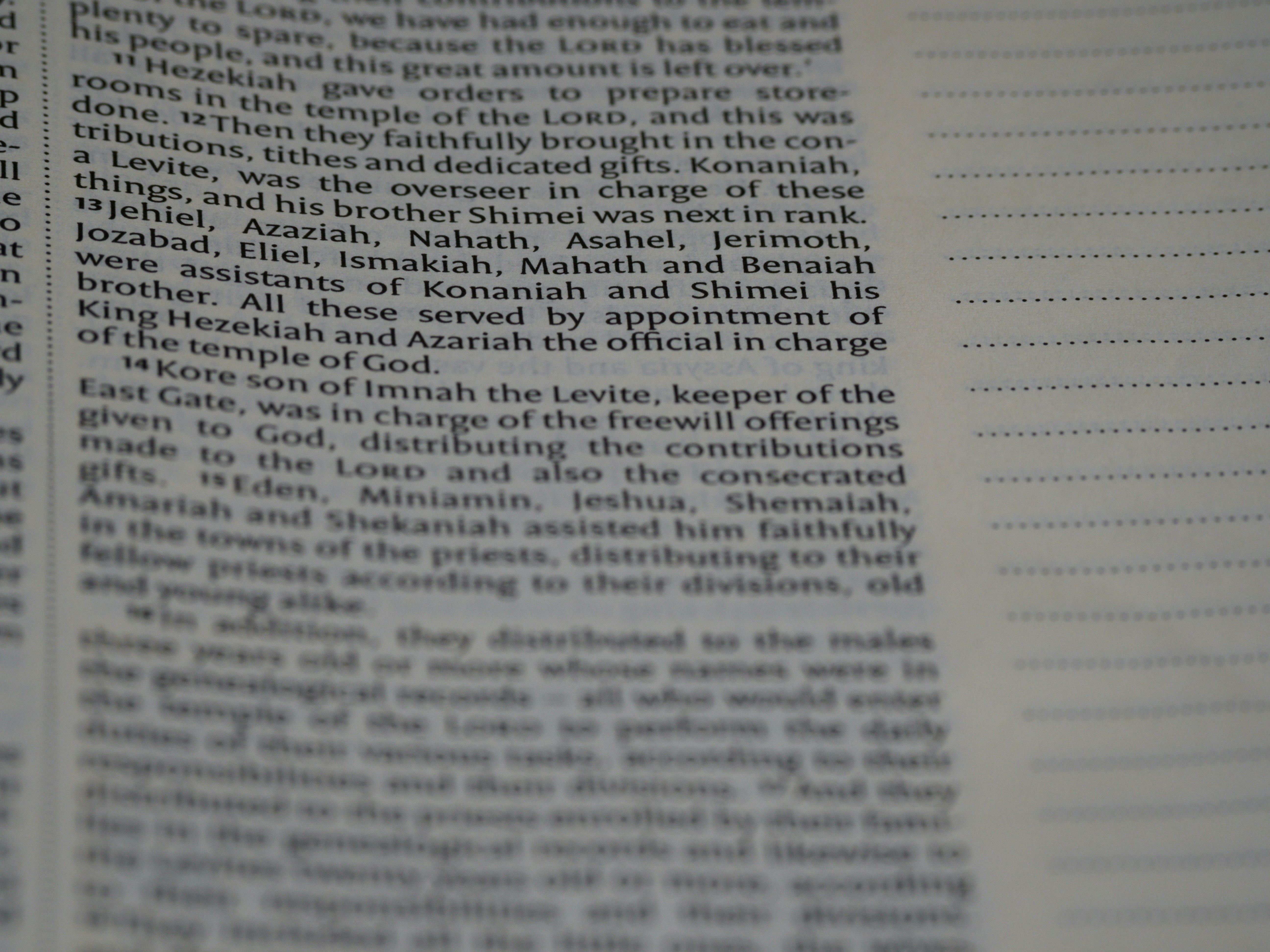 Photo by brett_jordan