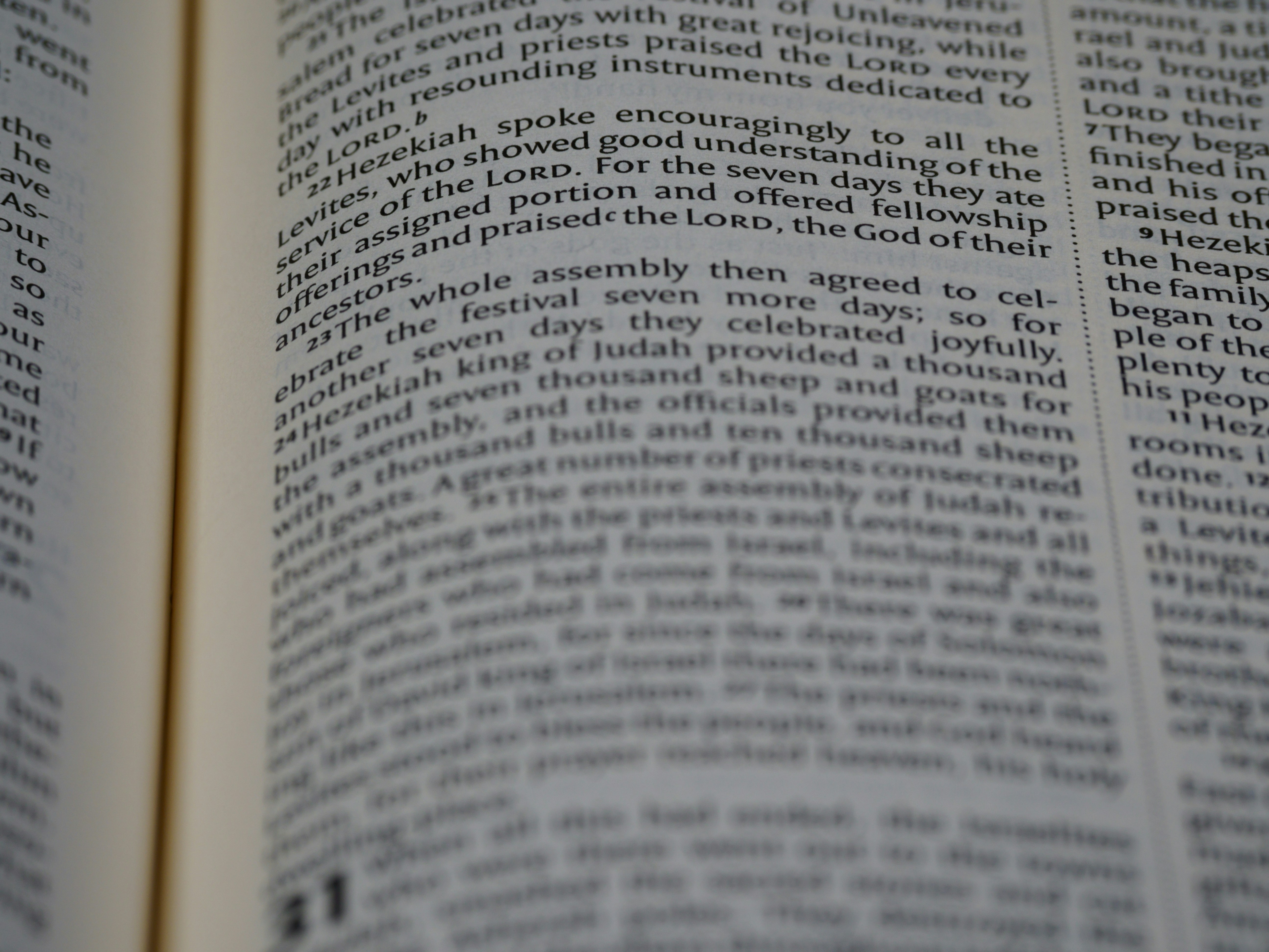 Photo by brett_jordan