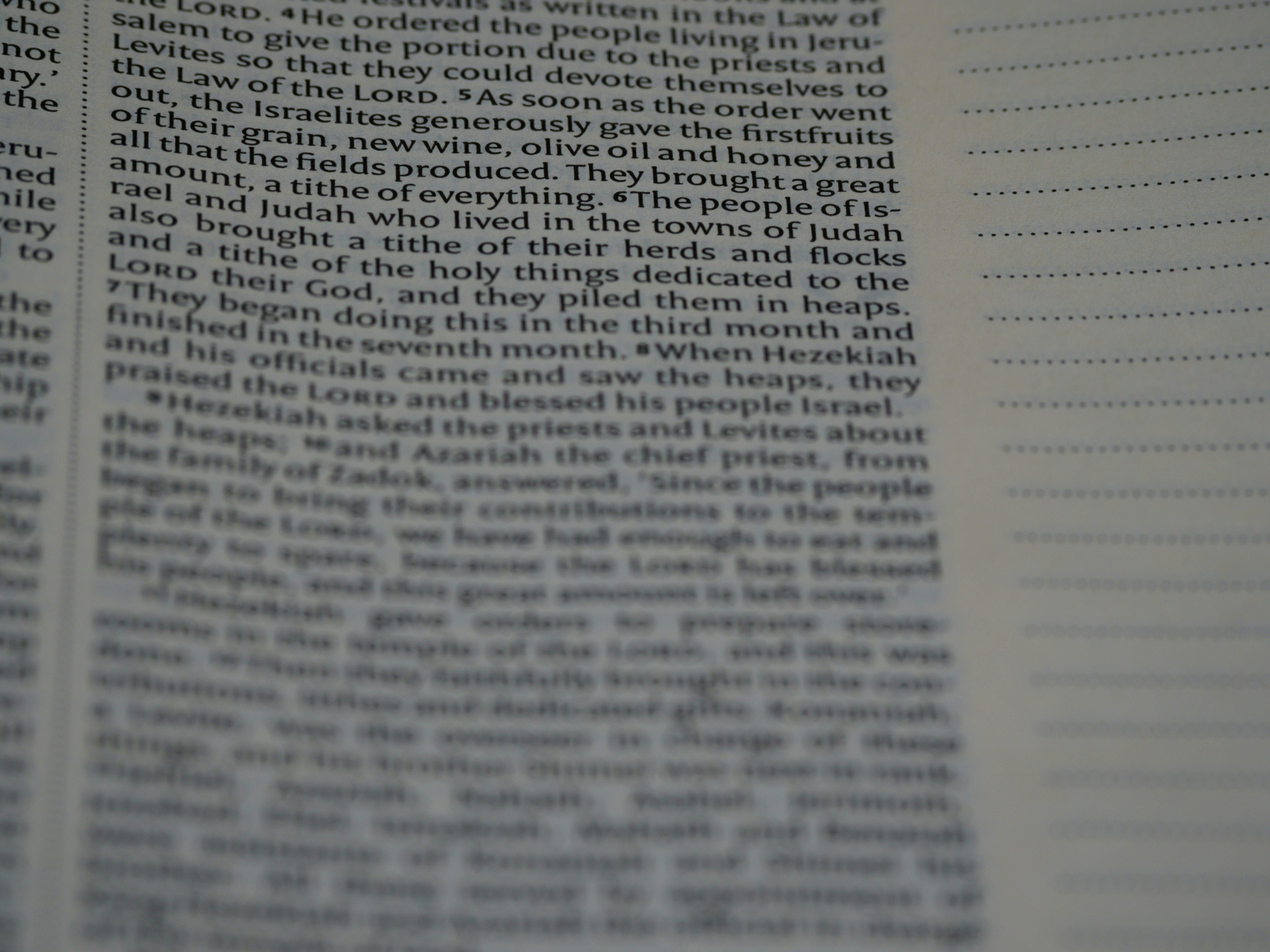 Photo by brett_jordan