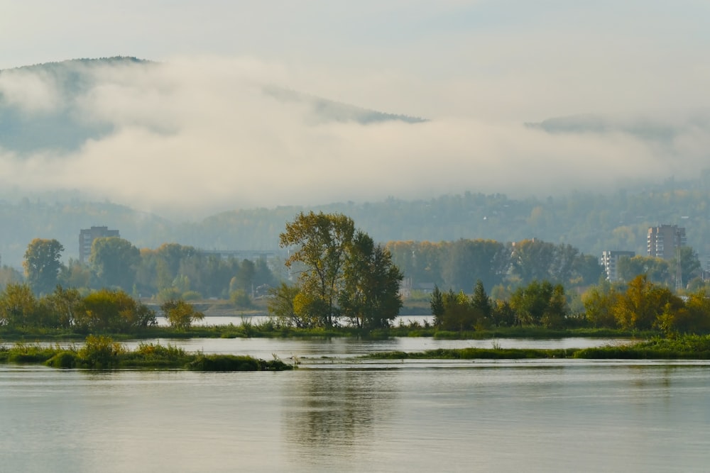 a body of water surrounded by trees and fog