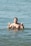 a man standing in the water giving a peace sign