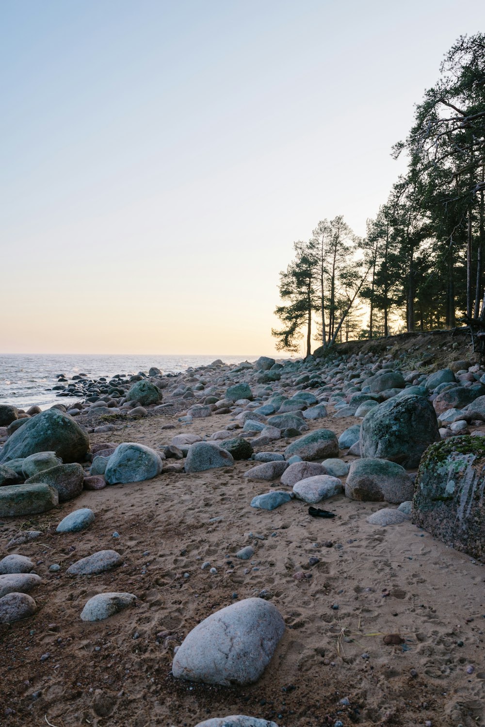 a group of people on a rocky beach