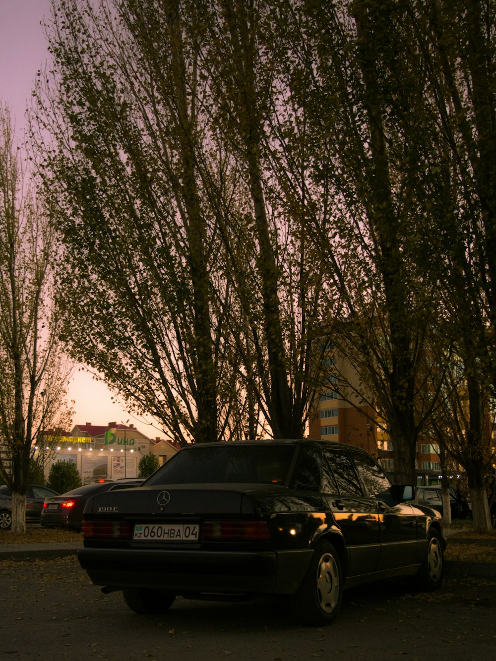 a black car parked in front of a tree