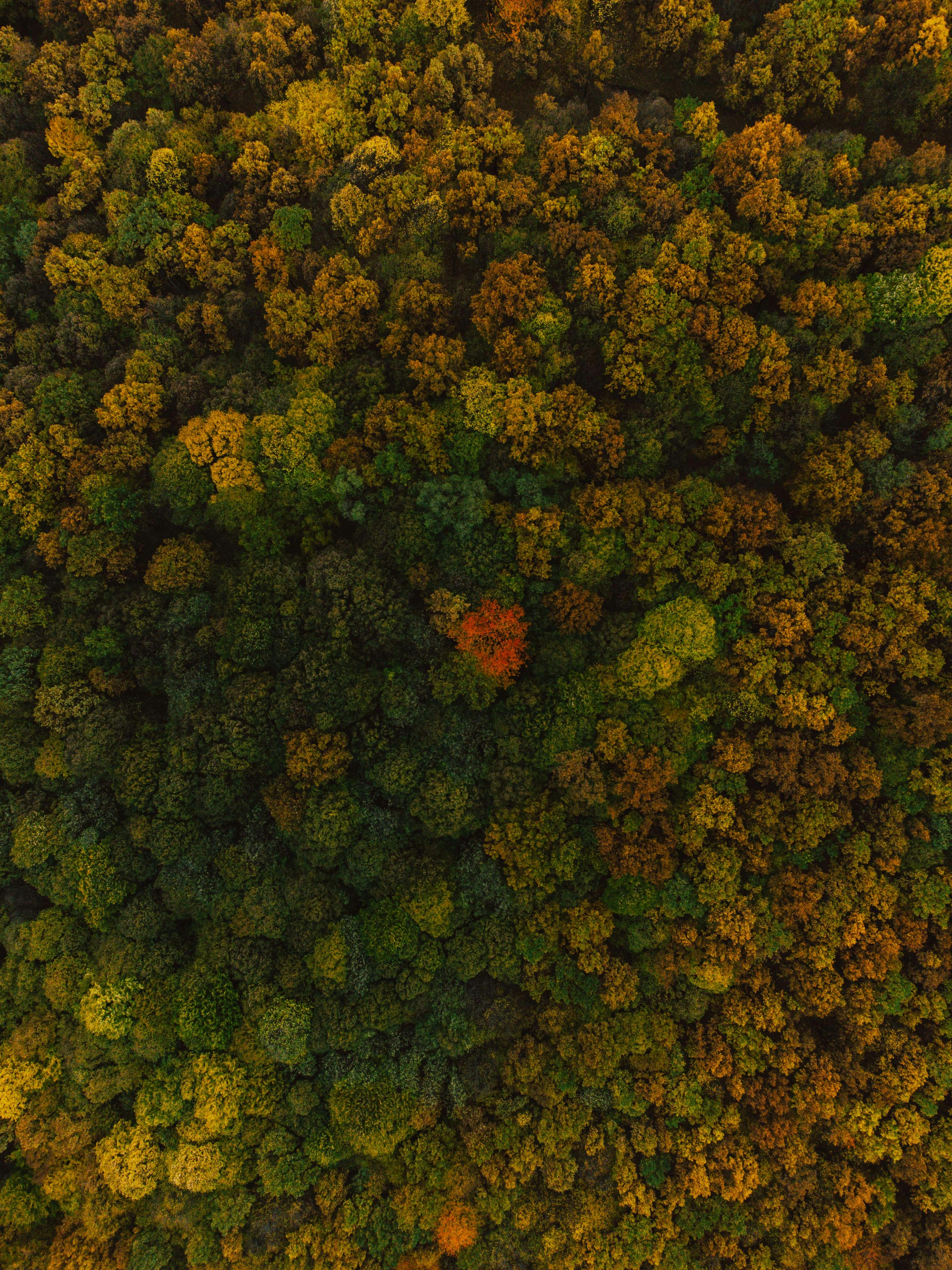 Photo by luisgherasim