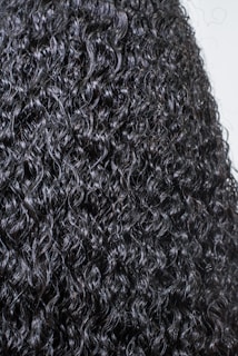 A close-up view of dark, tightly coiled curly hair with a glossy texture. The curls are prominent, well-defined, and densely packed, creating a detailed and uniform pattern.