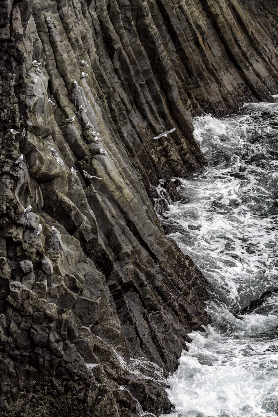 Rocky cliff face features large jagged and smooth rock formations with contrasting vegetation
