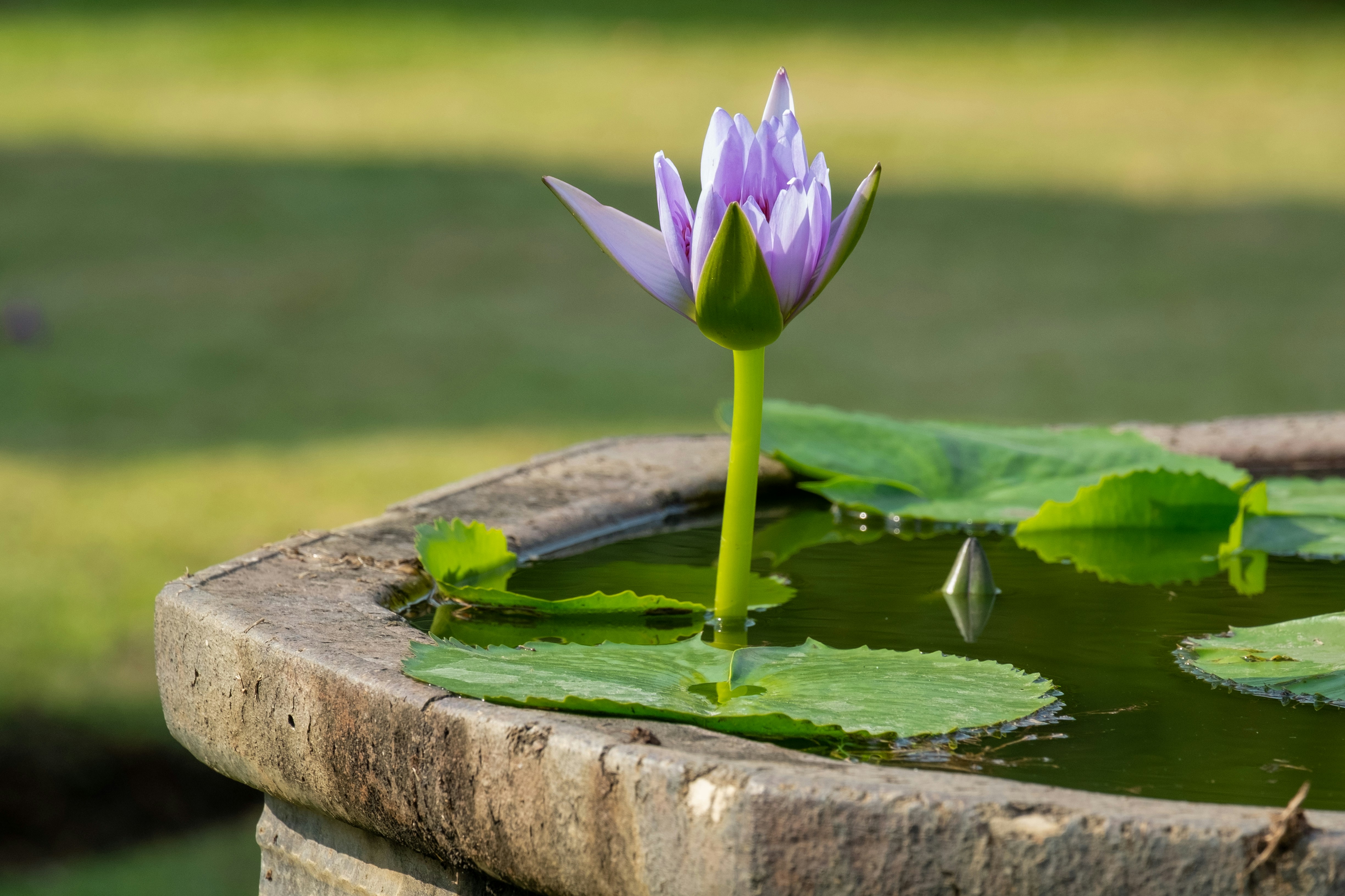 Photo by sashasmelova