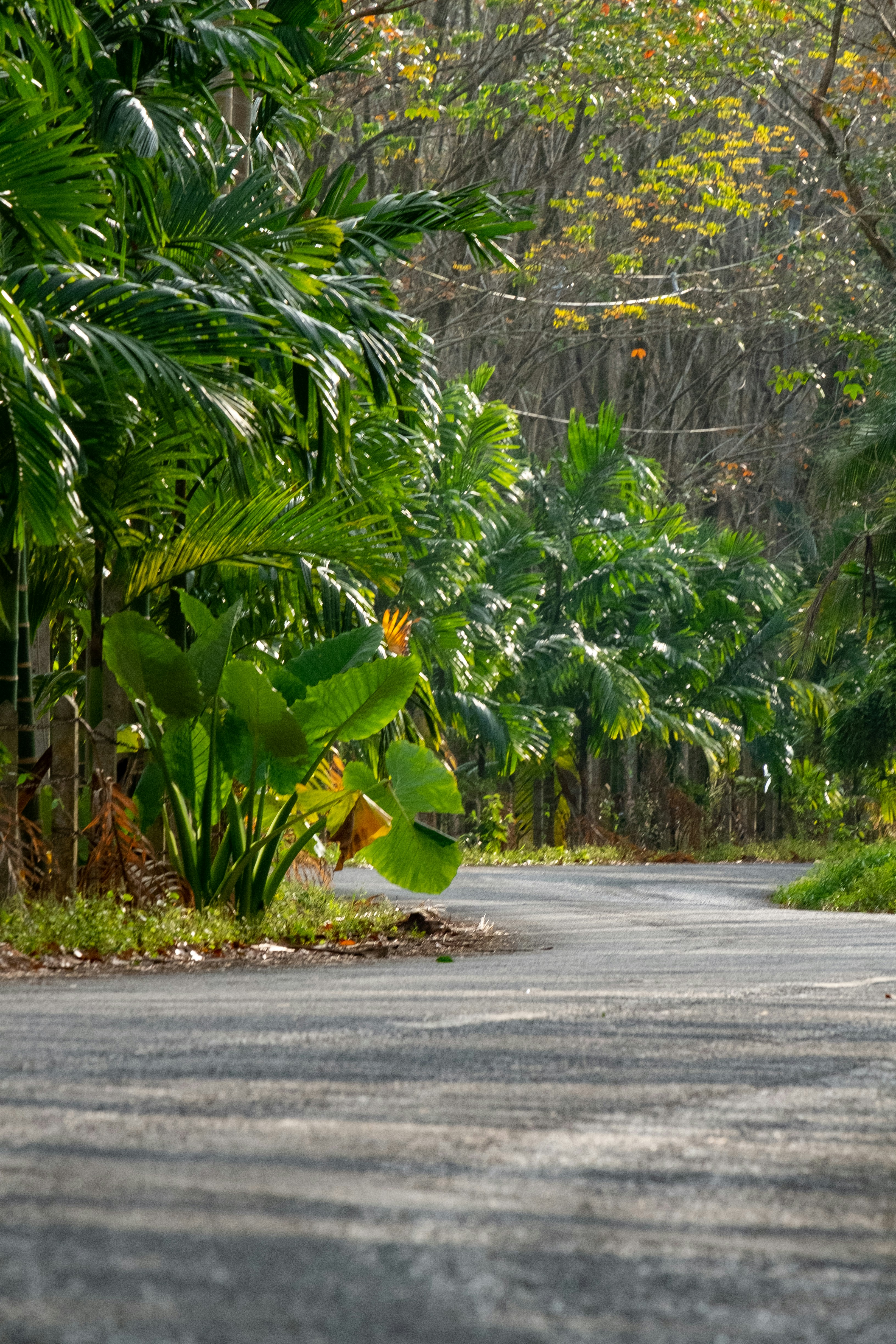 Photo by sashasmelova