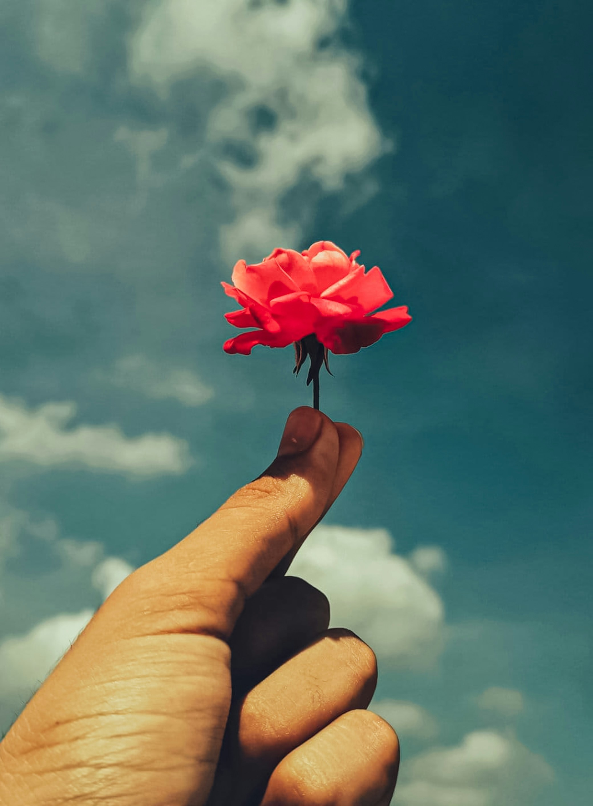 Photo by vik_creatives