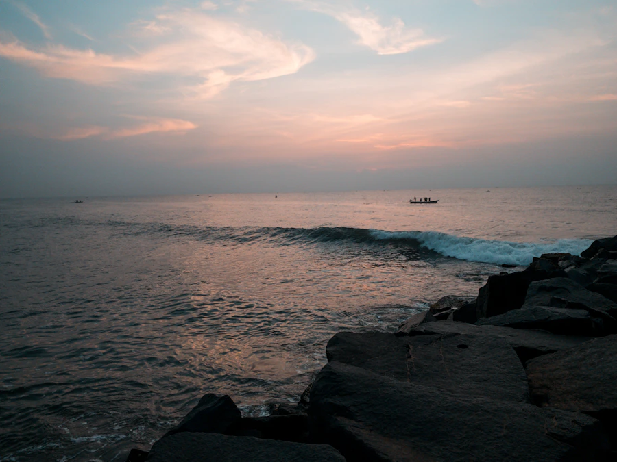 Day Trips Along the Coast